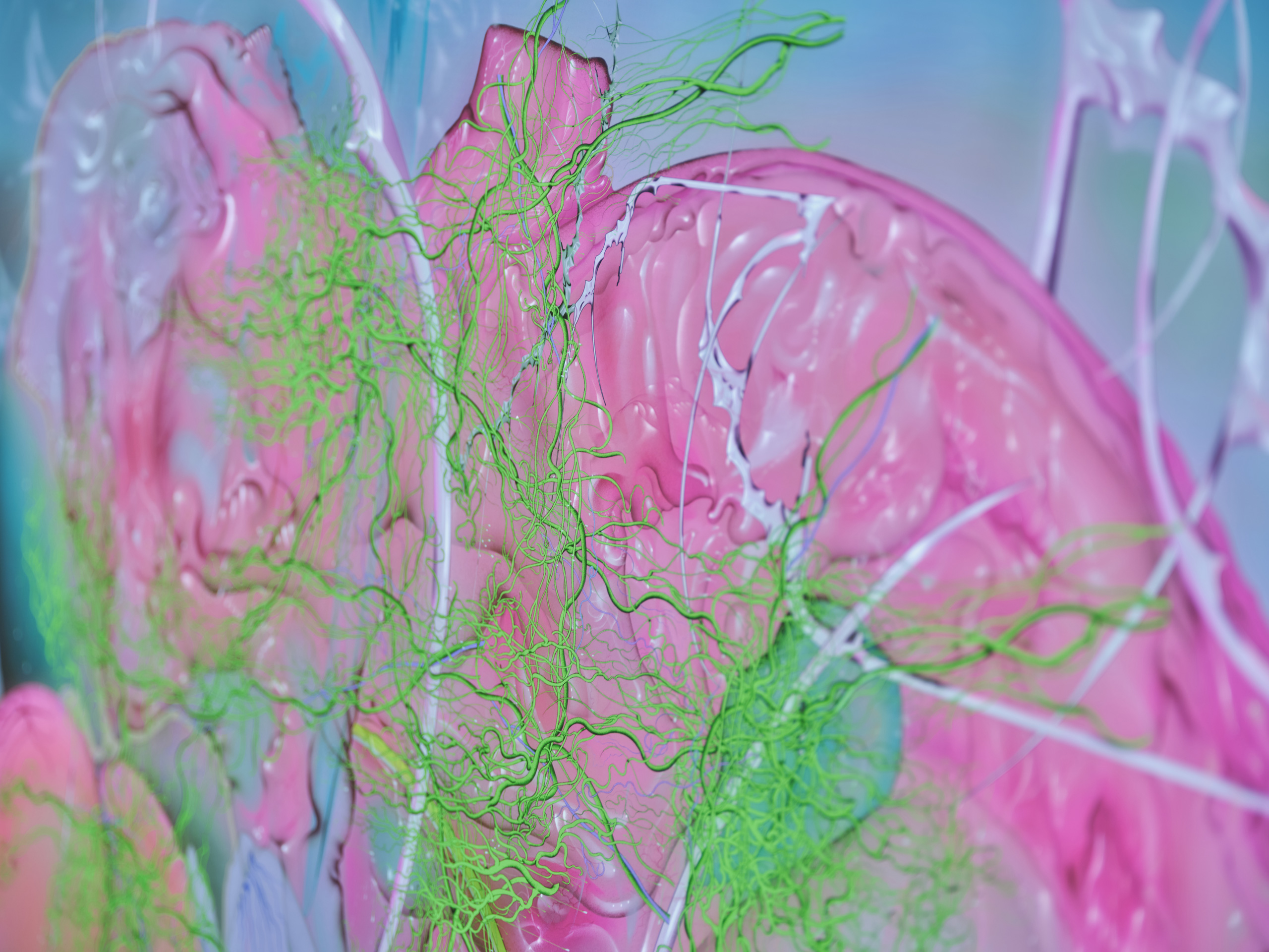 람한 작업 클로즈업한 사진, 분홍 초록