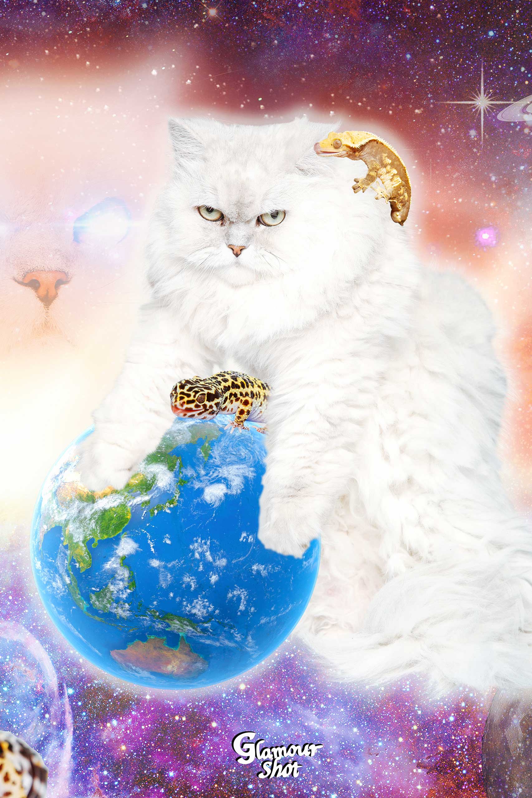 beattitude. 비애티튜드. glaour shot,글래머샷, cat, 고양이, 밈, meme, stereotype, 스테레오타입