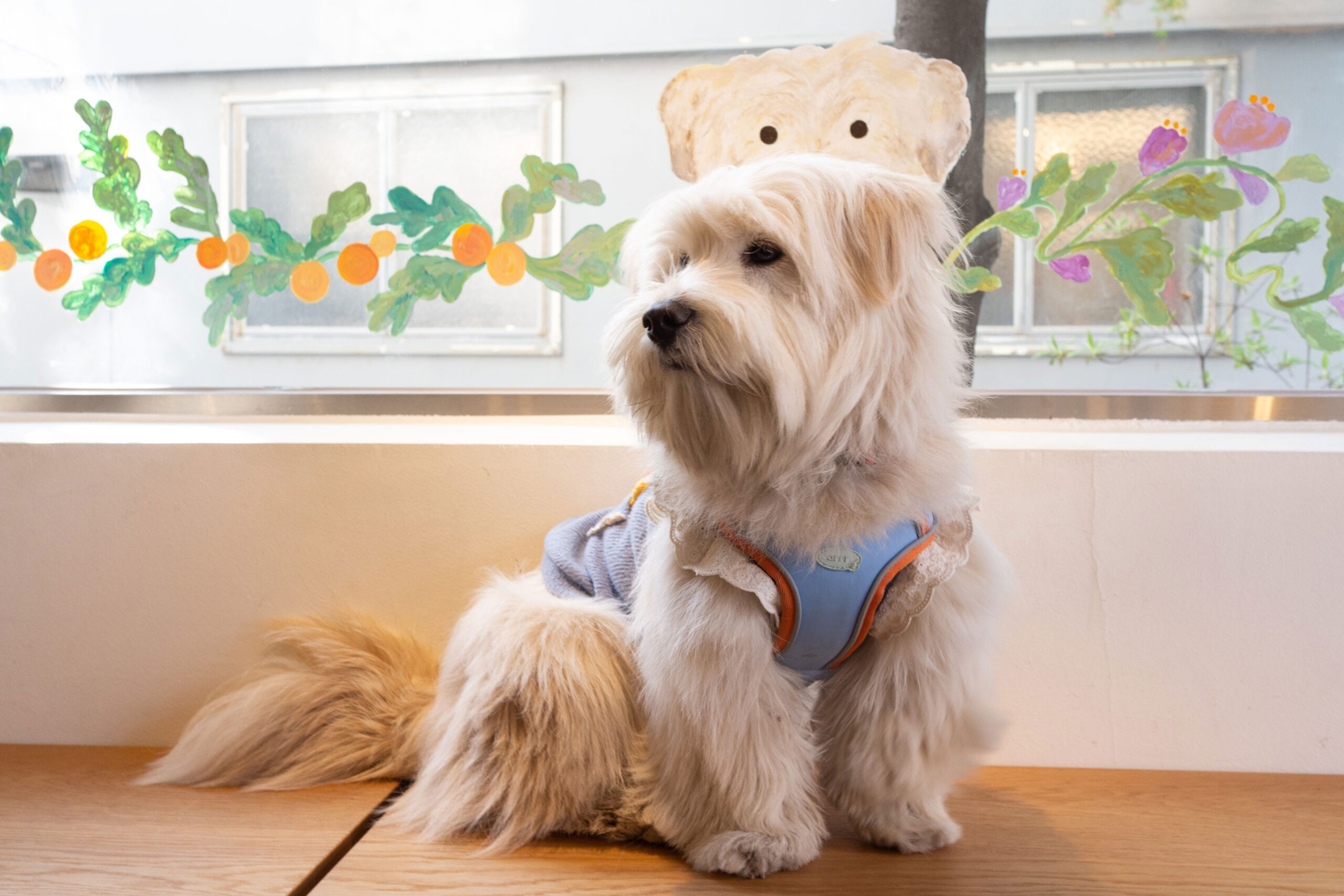 letari, 르타리, 버섯, 오가닉, 성수역, 후무스샌드위치