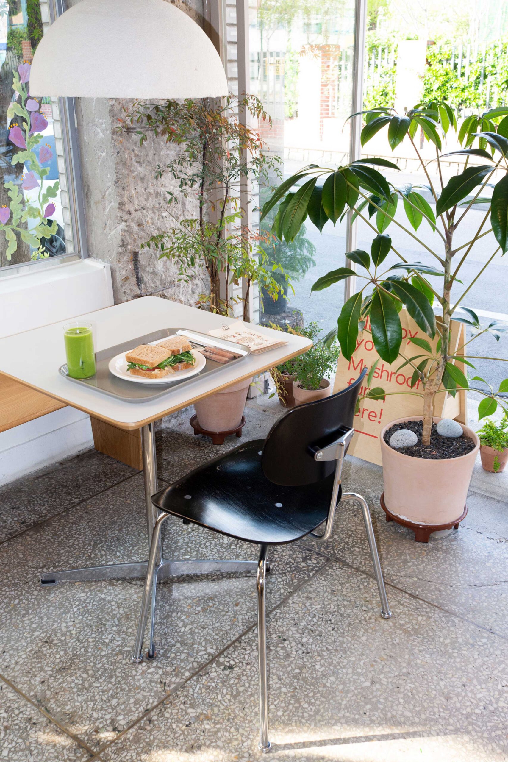 letari, 르타리, 버섯, 오가닉, 성수역, 후무스샌드위치