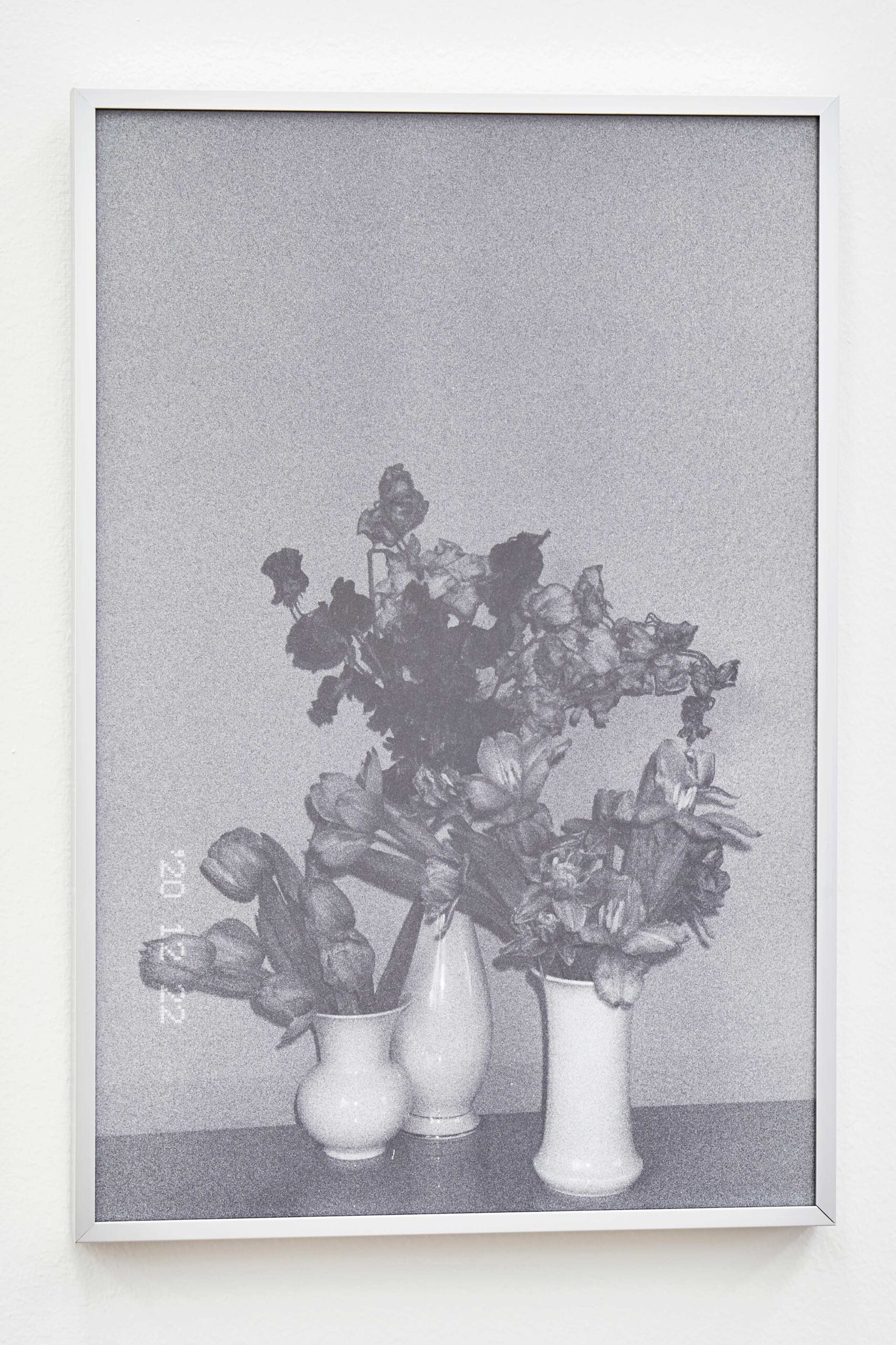 chorongan, 안초롱, 사진, photography, archiving, 아카이빙