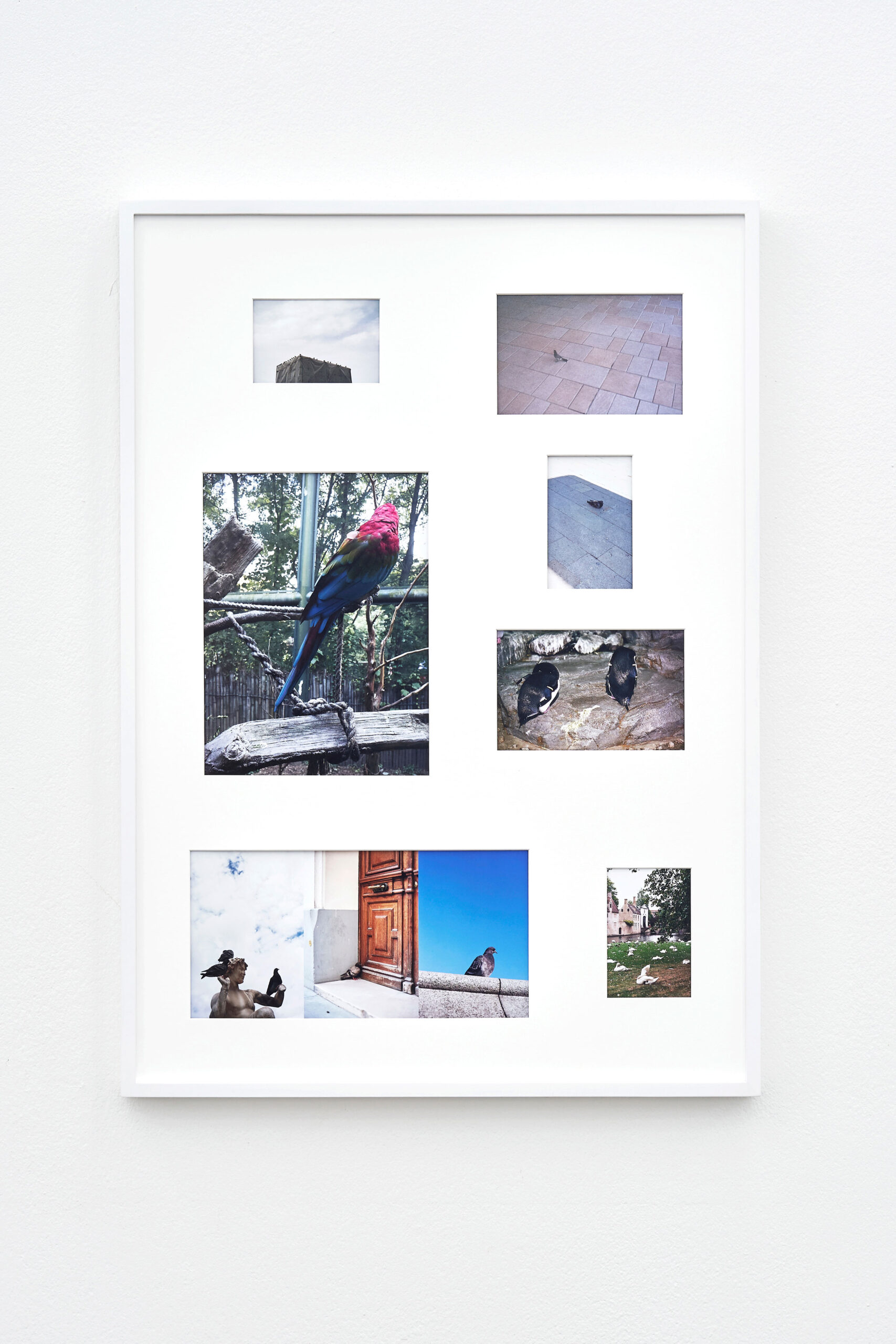 chorongan, 안초롱, 사진, photography, archiving, 아카이빙