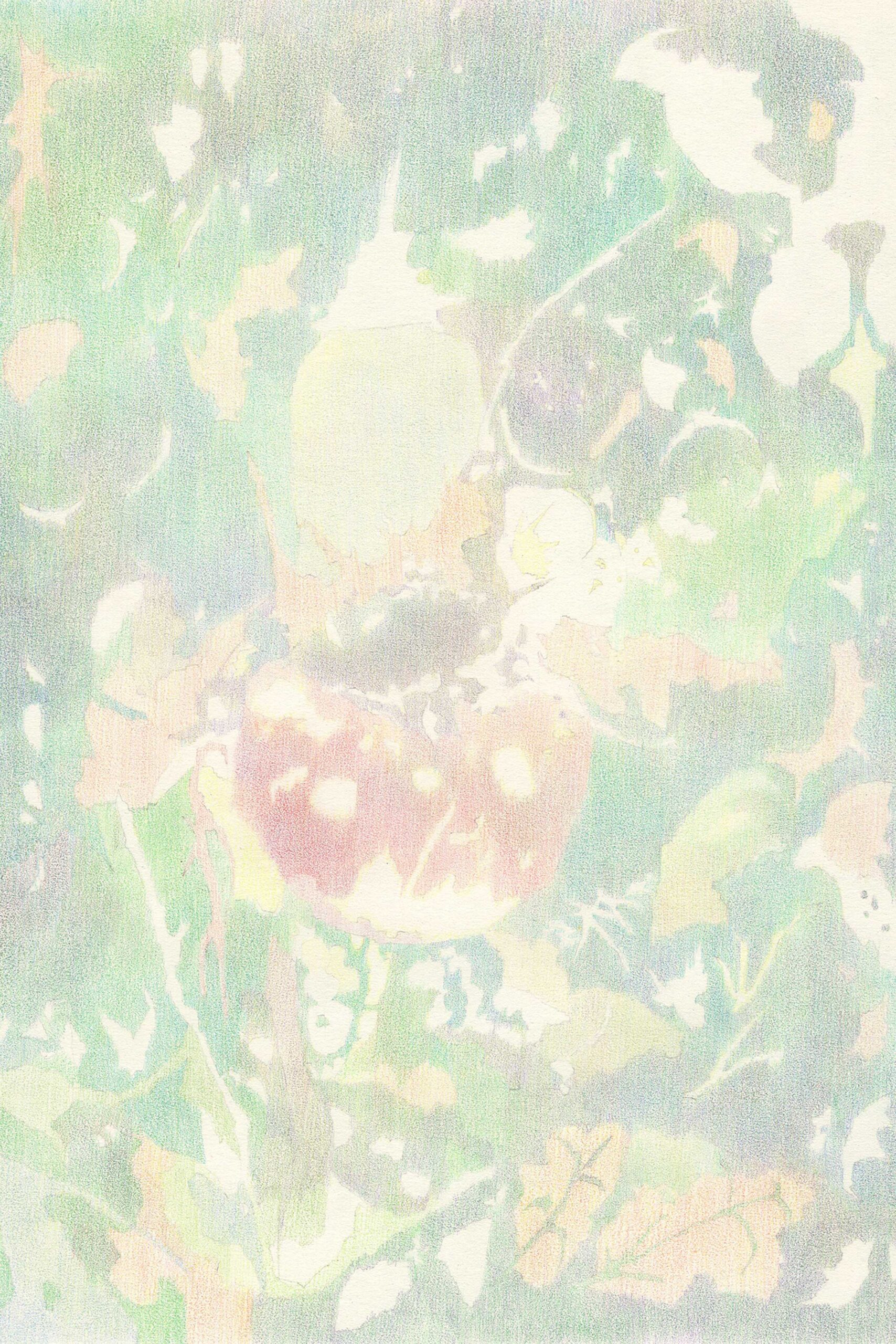 이해선, 흐릿하다, haesunlee, art, illustration, drawing, 드로잉