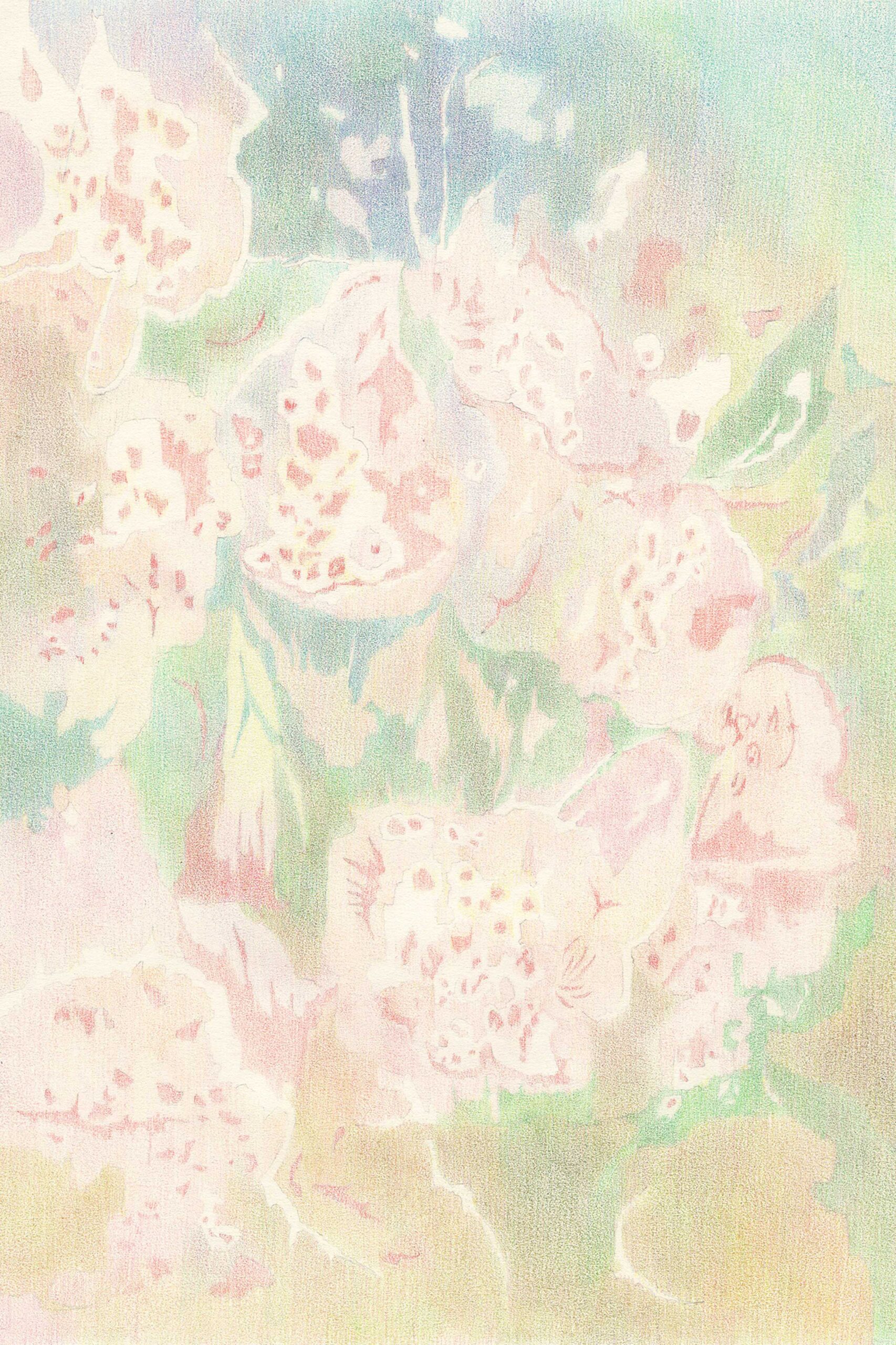 이해선, 흐릿하다, haesunlee, art, illustration, drawing, 드로잉