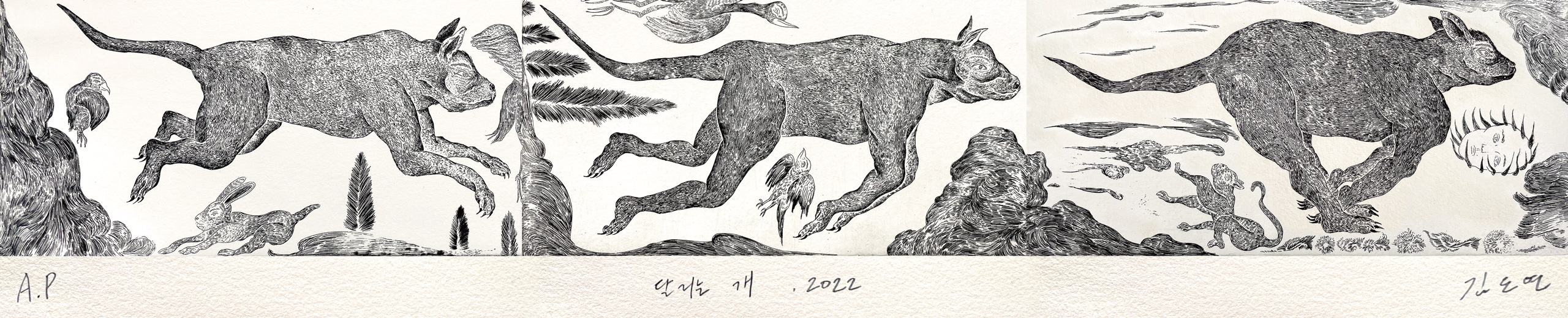 김도연, kimdoyeon