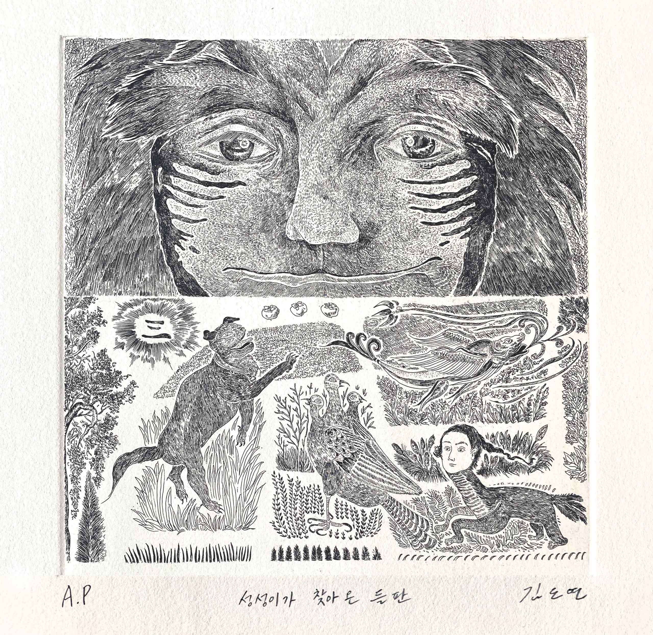 김도연, kimdoyeon