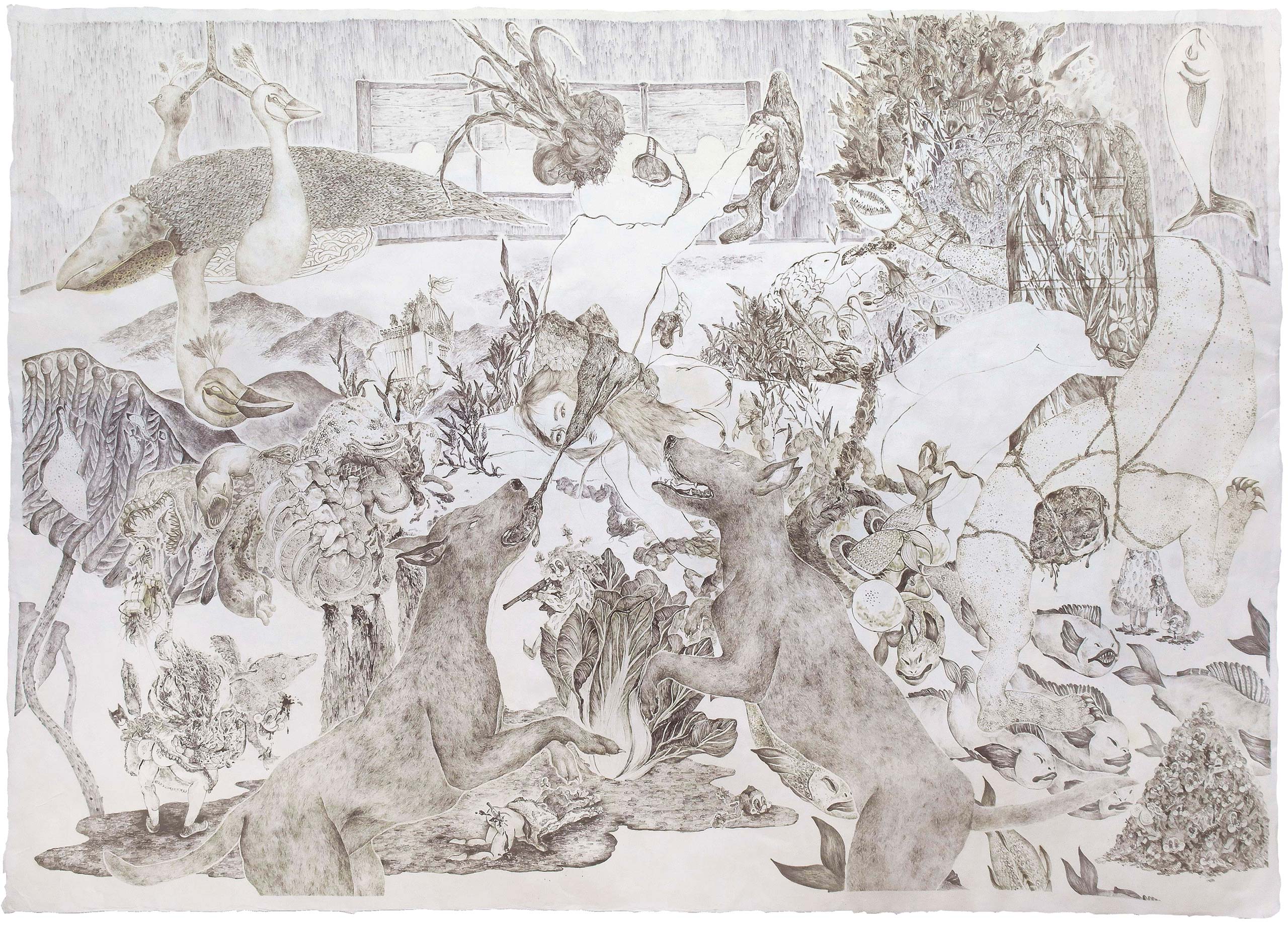 김도연, kimdoyeon