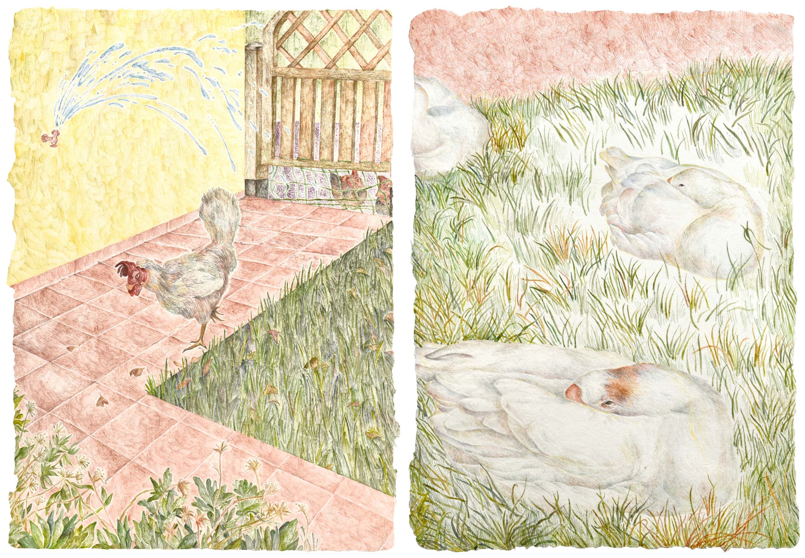 김도연, kimdoyeon