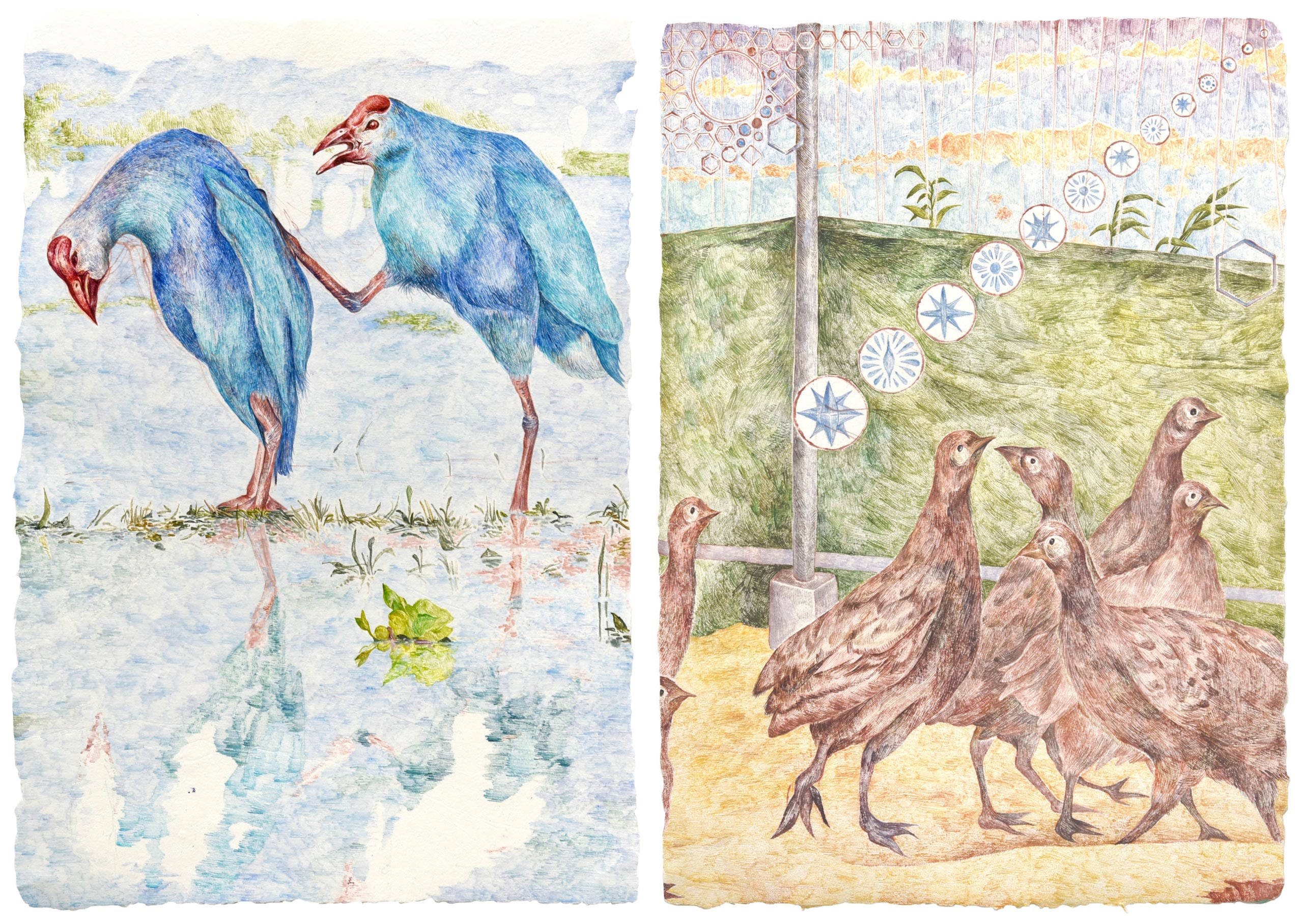 김도연, kimdoyeon