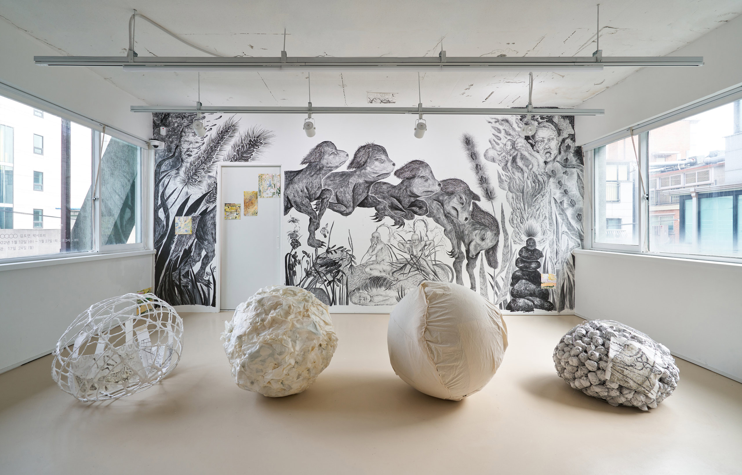 김도연, kimdoyeon