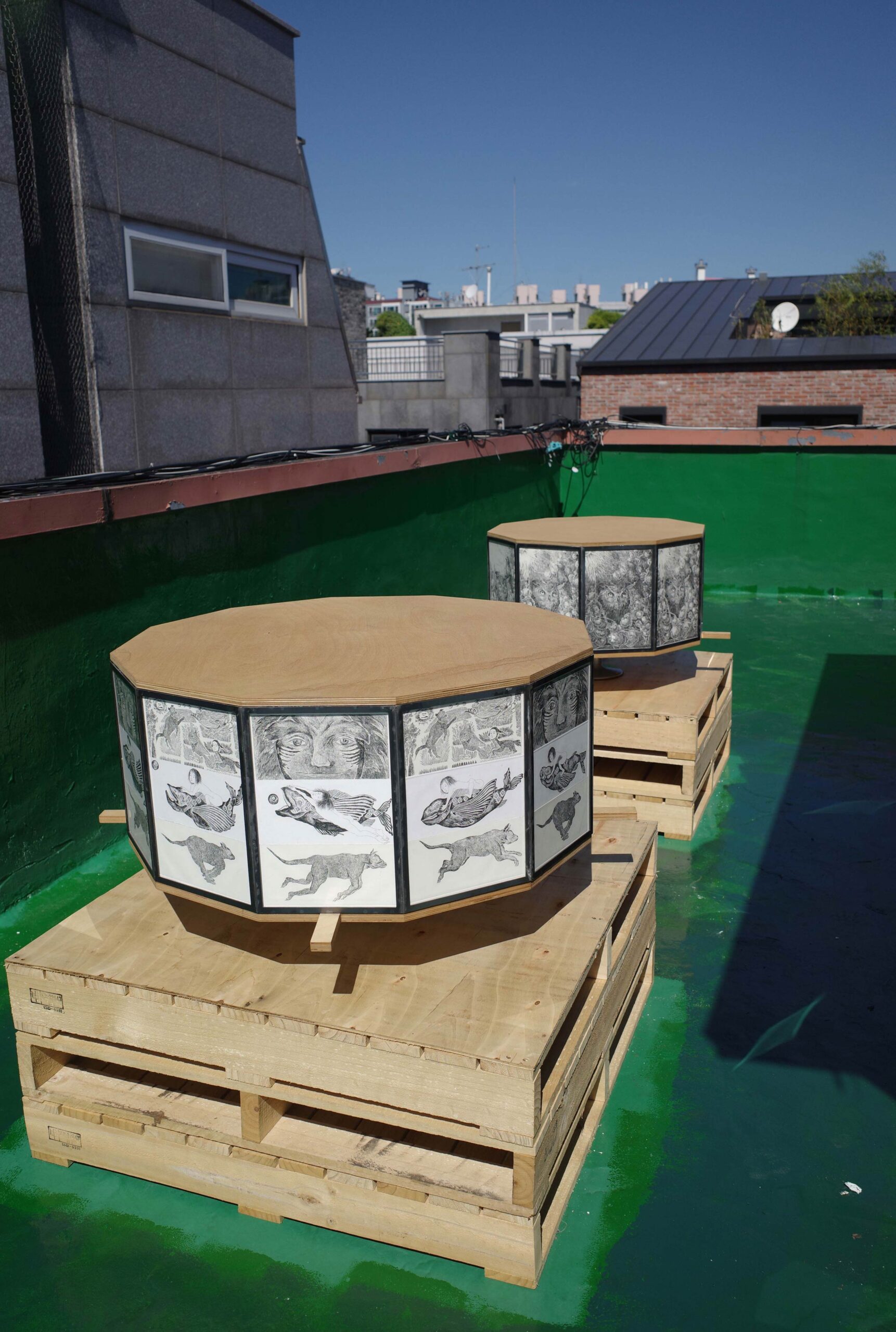 김도연, kimdoyeon