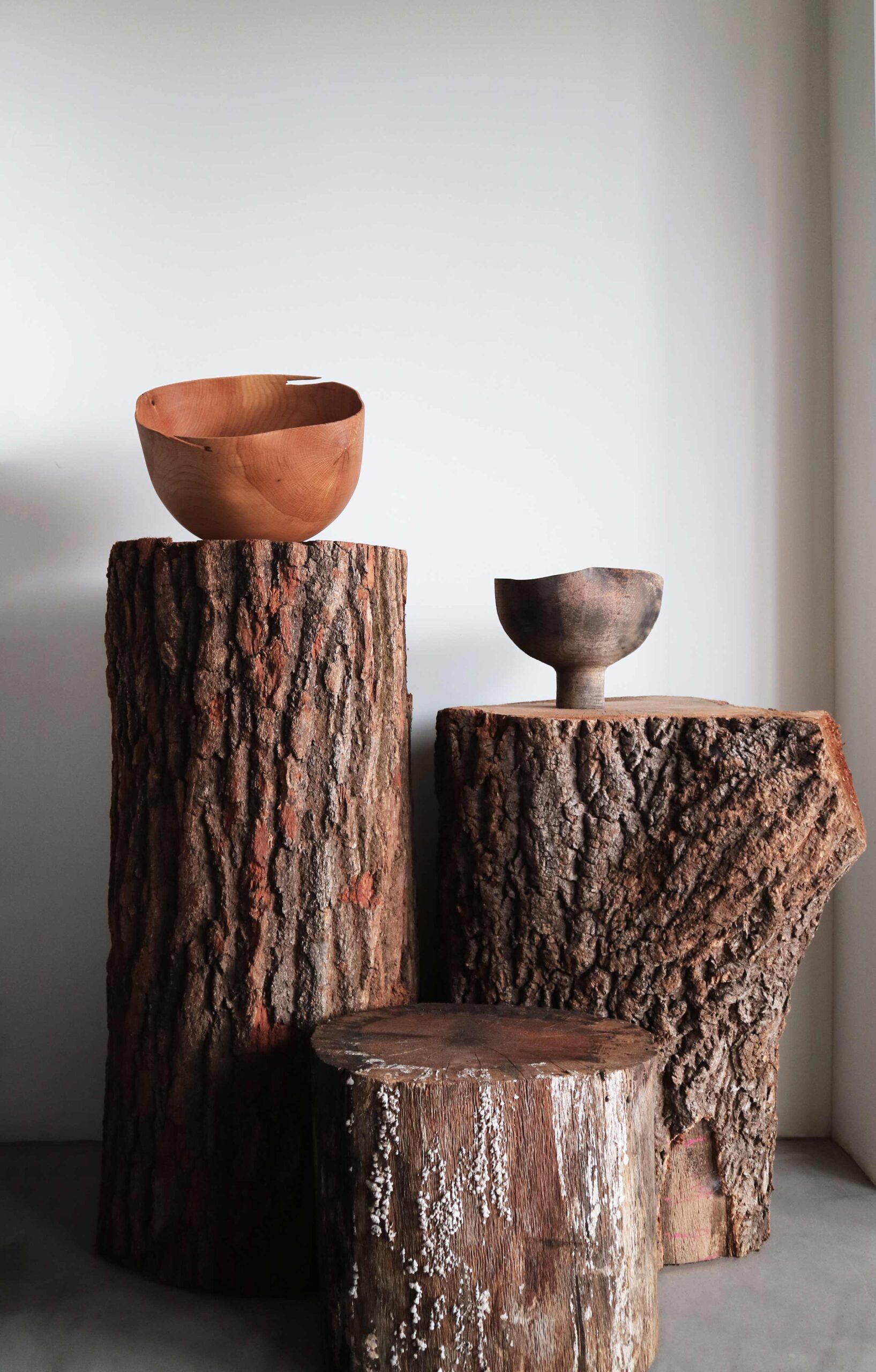 김민욱, MinWook-Kim