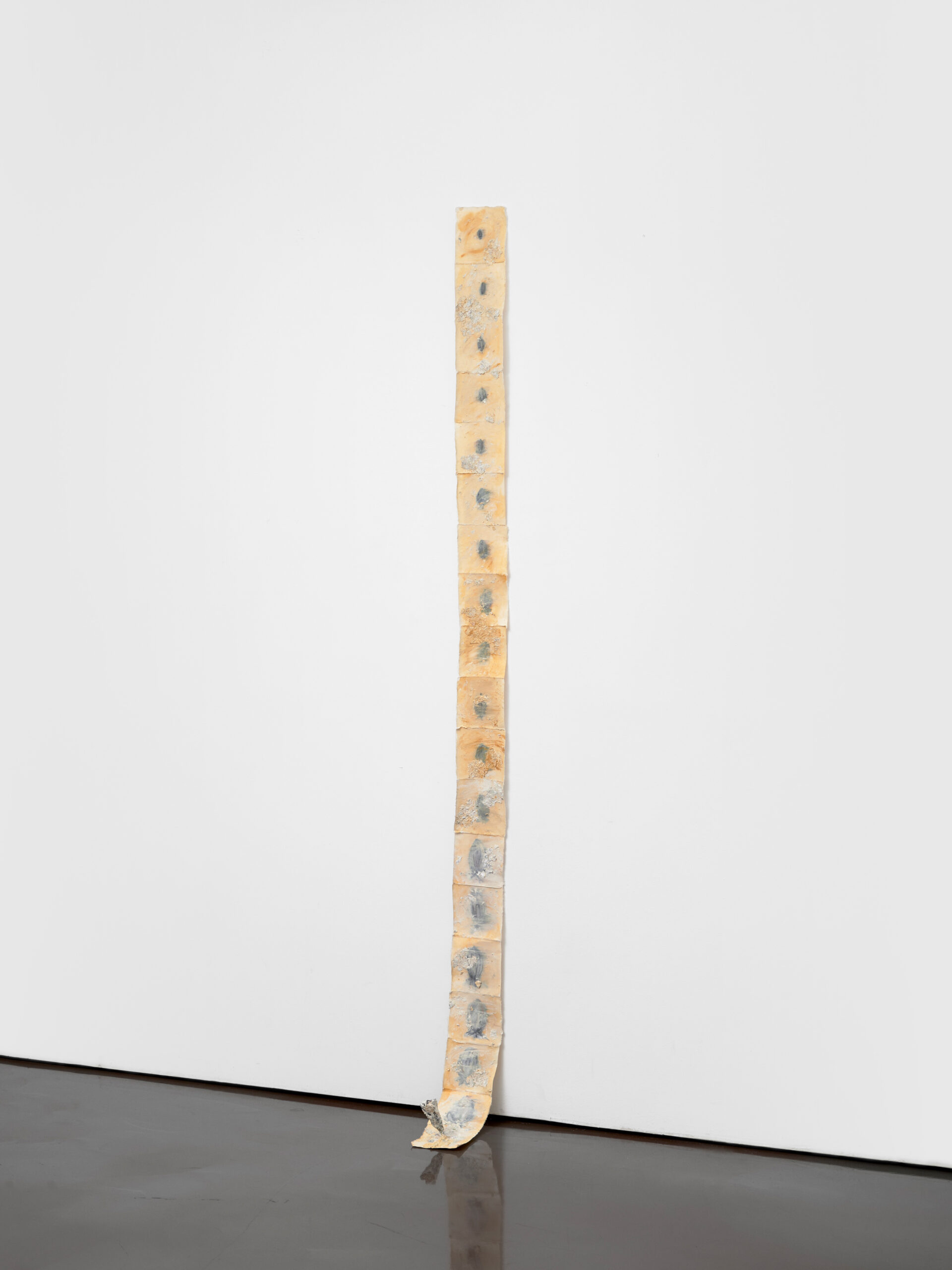 허수연,HuhSuyon, Loop-scaled