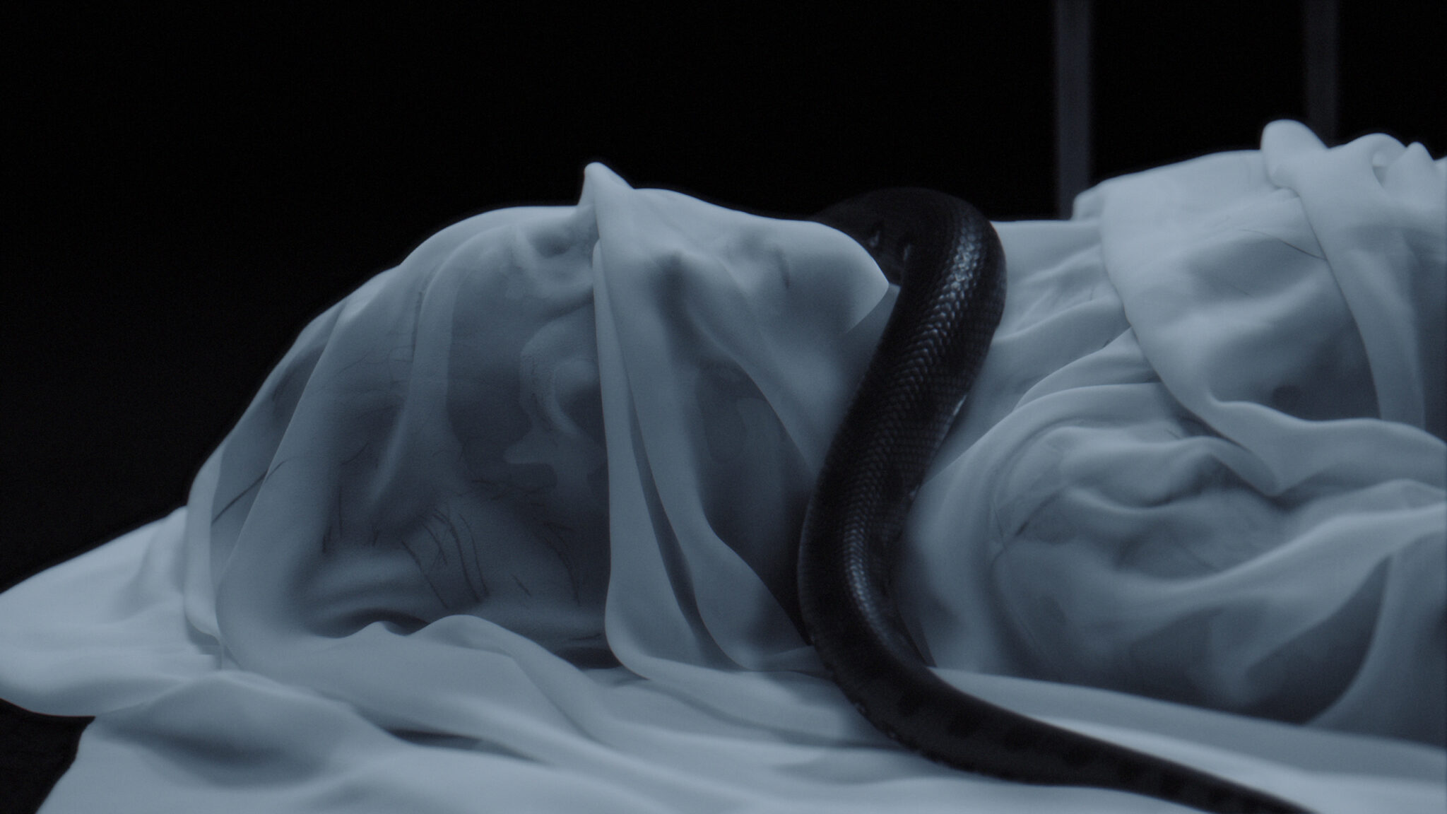 10, 카코포니, Cacophony, DIPUC