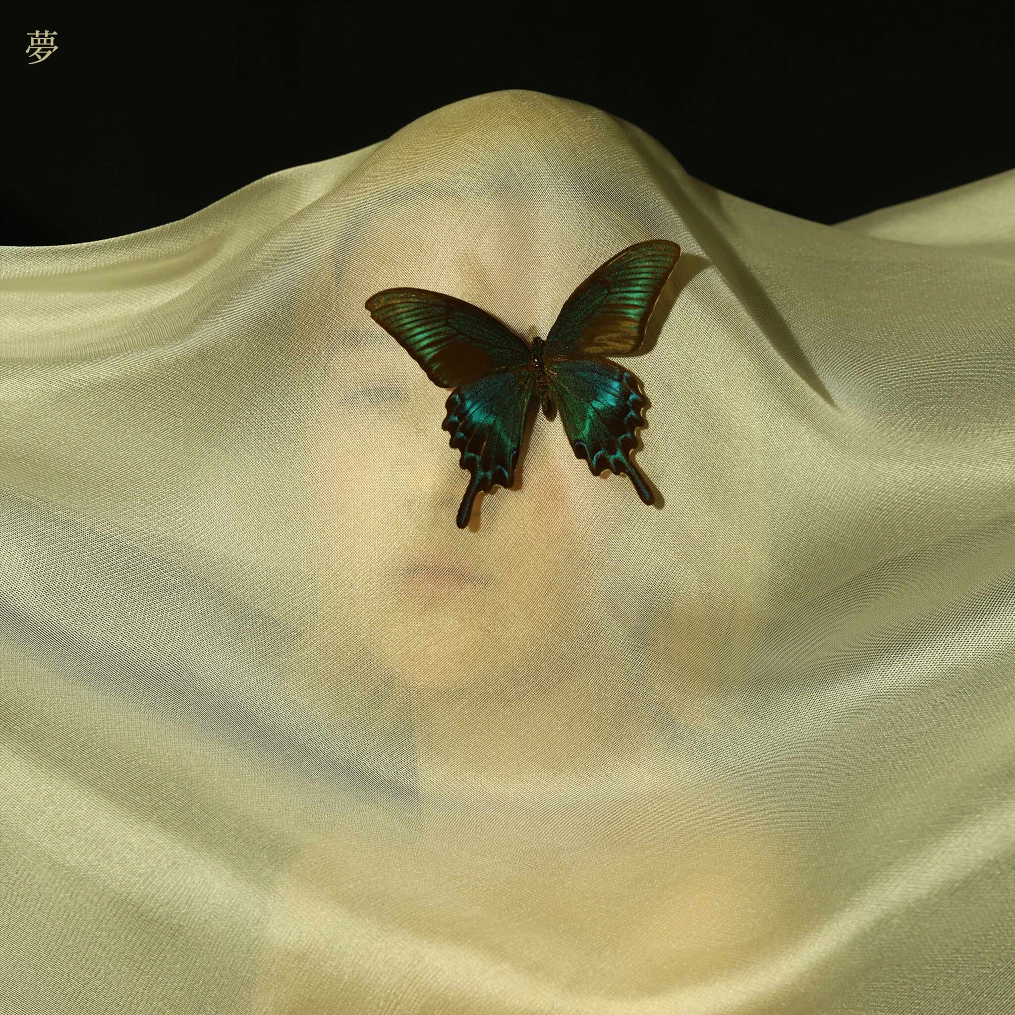 15, 카코포니, Cacophony, 2집