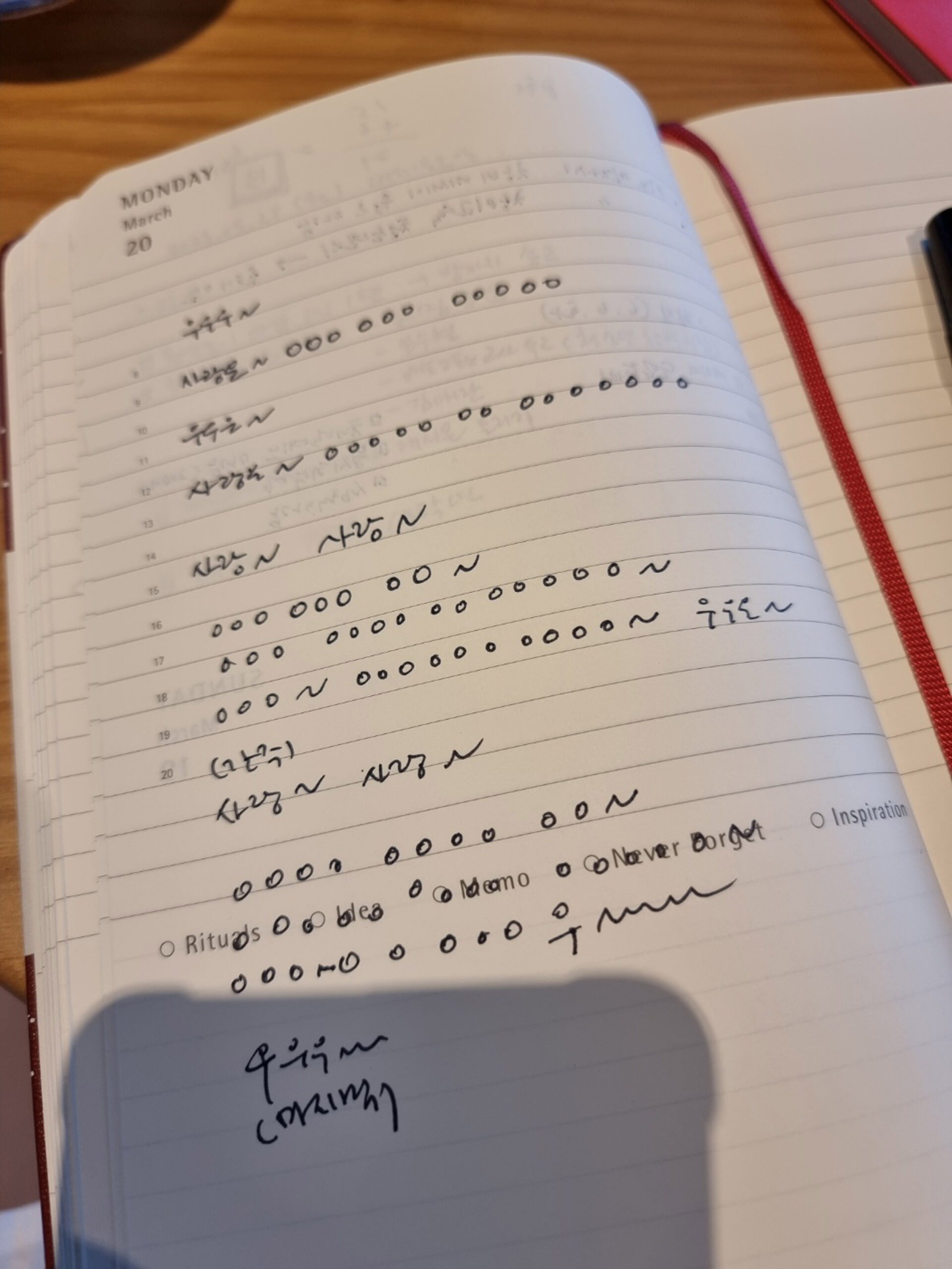 18, 피스오브서울, 강아솔, 아무도-없는-곳에서-모두가-있는-곳으로