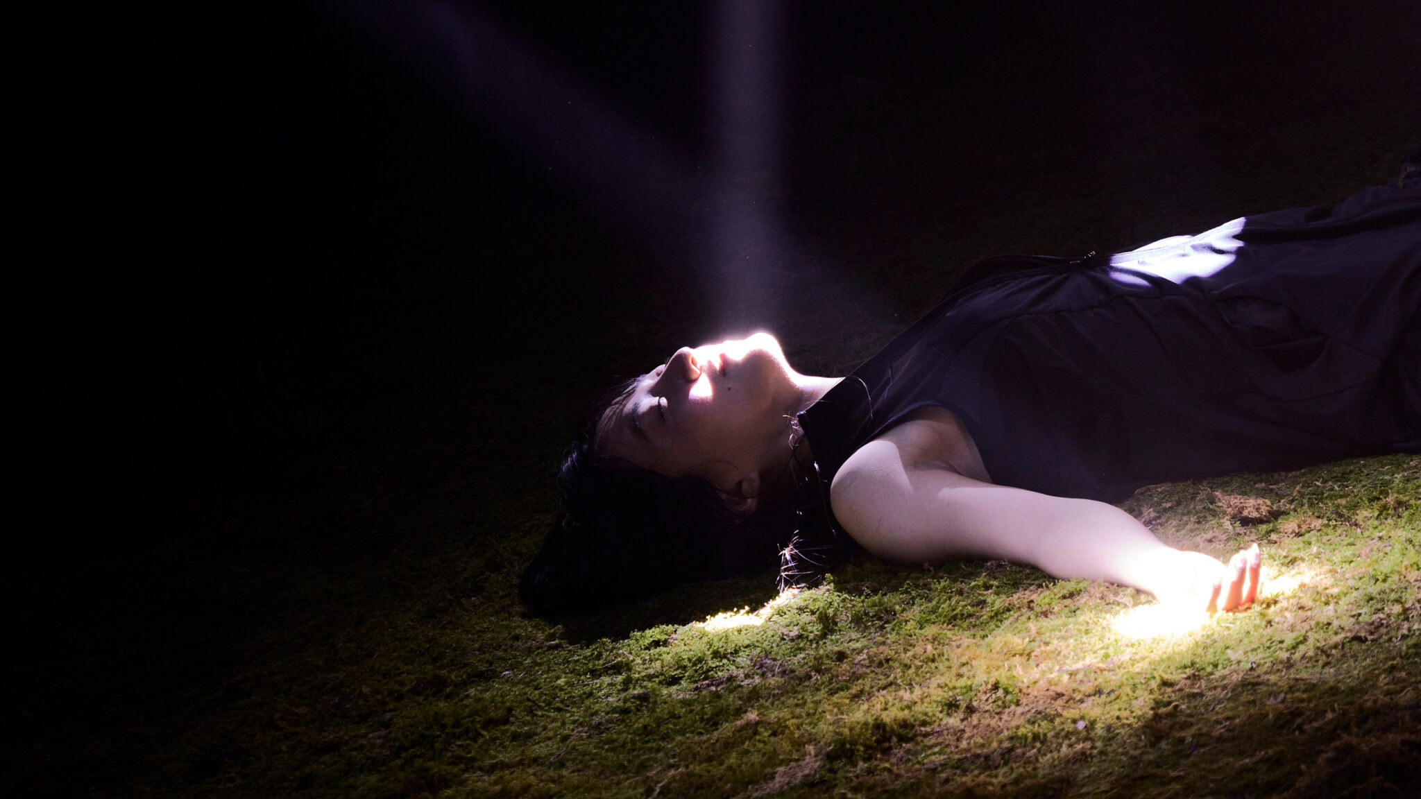 카코포니, Cacophony