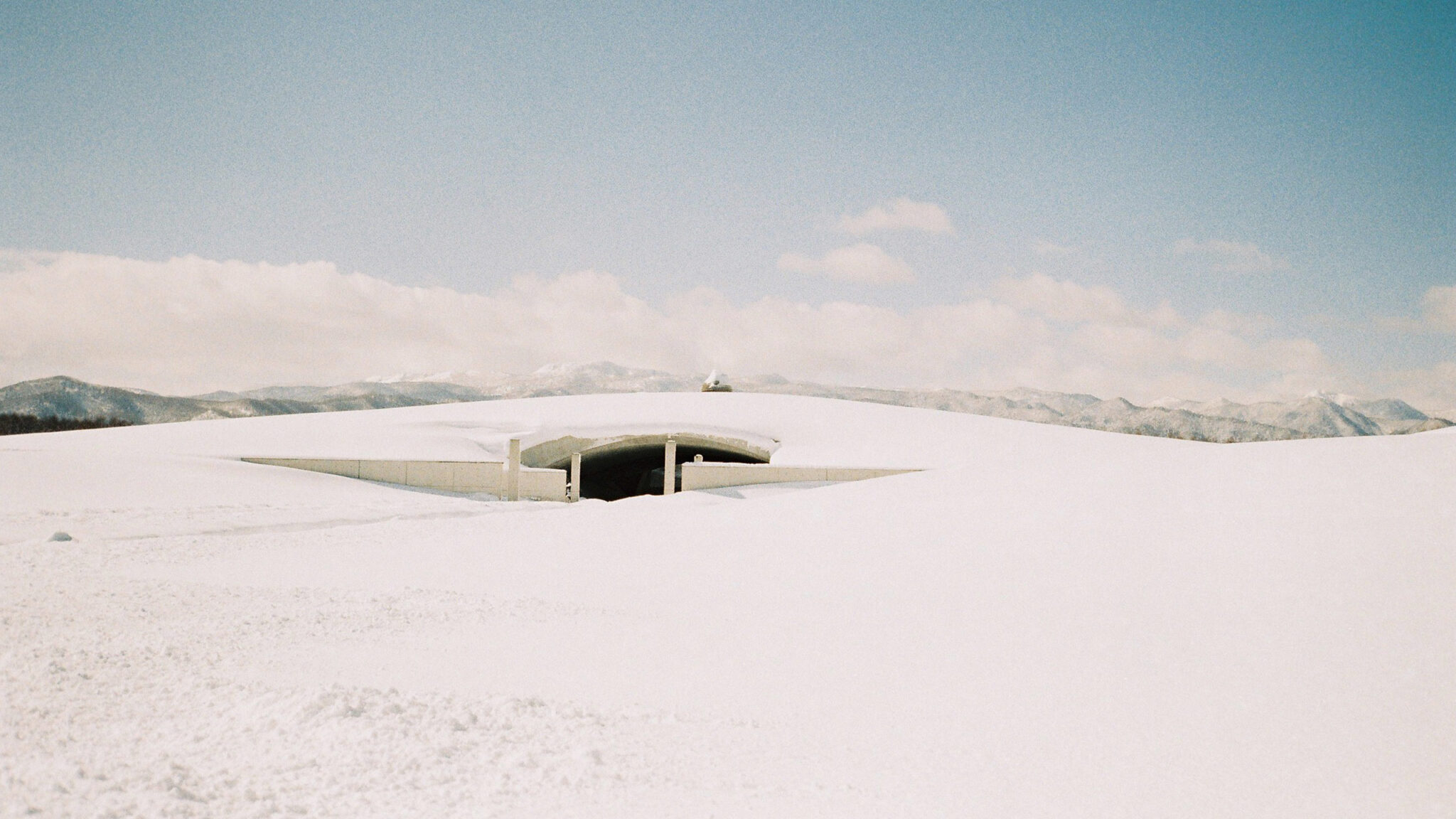 header, 피스오브서울, 강아솔