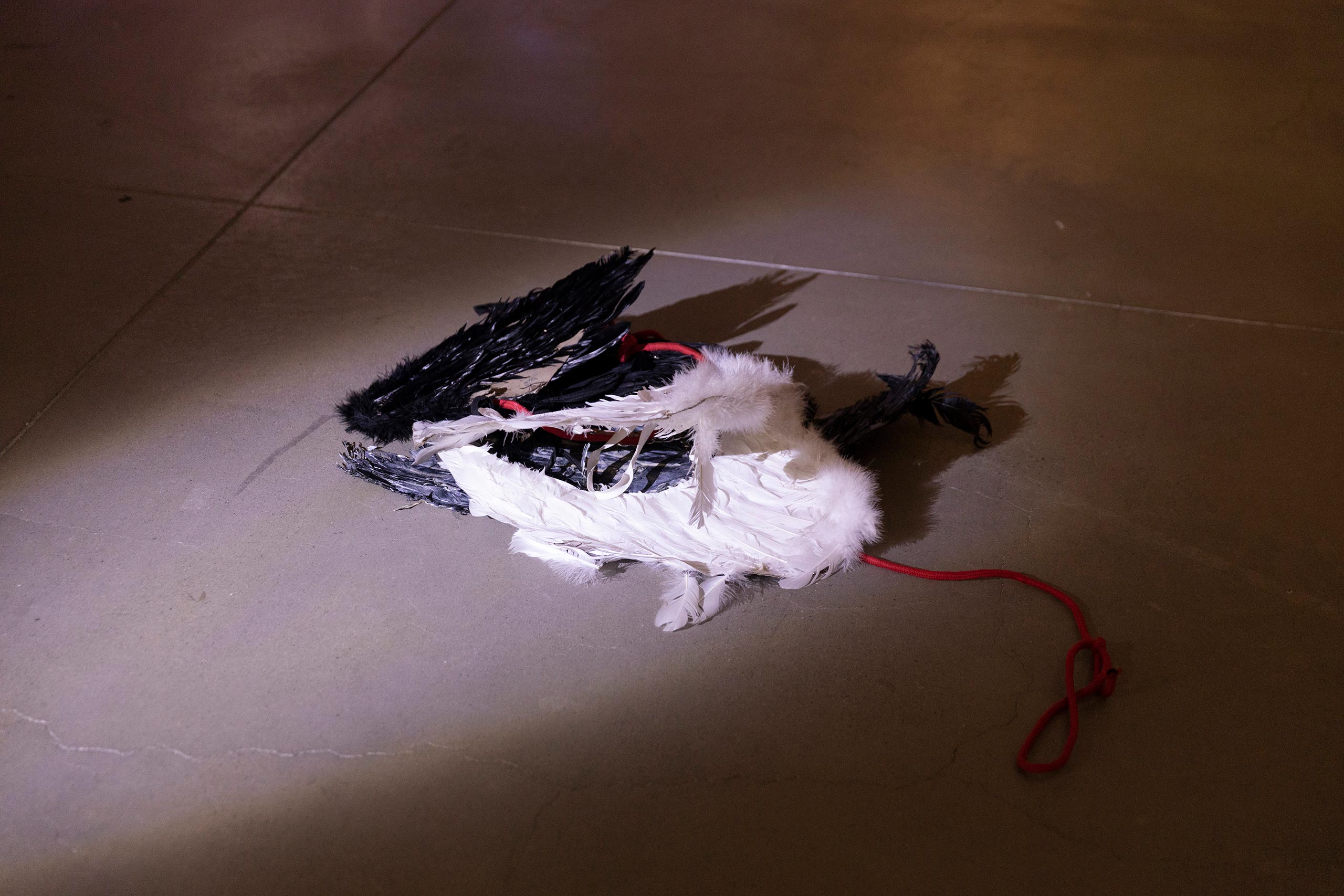 02, 원정백화점, ઈ스킨케어신화ઉ