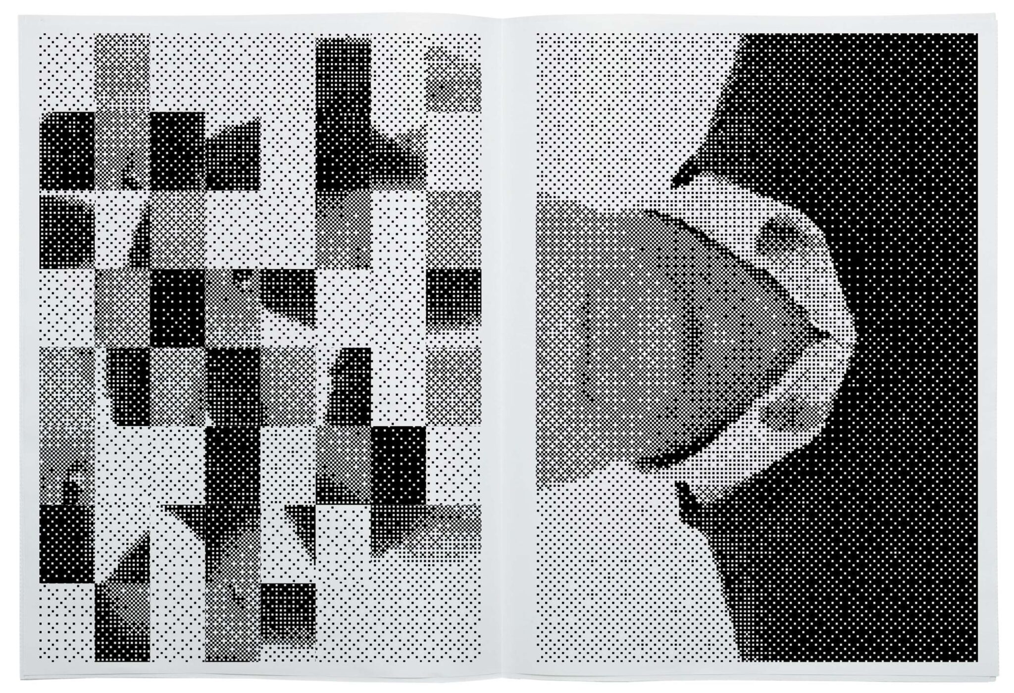 03_진달래박우혁_jinandpark