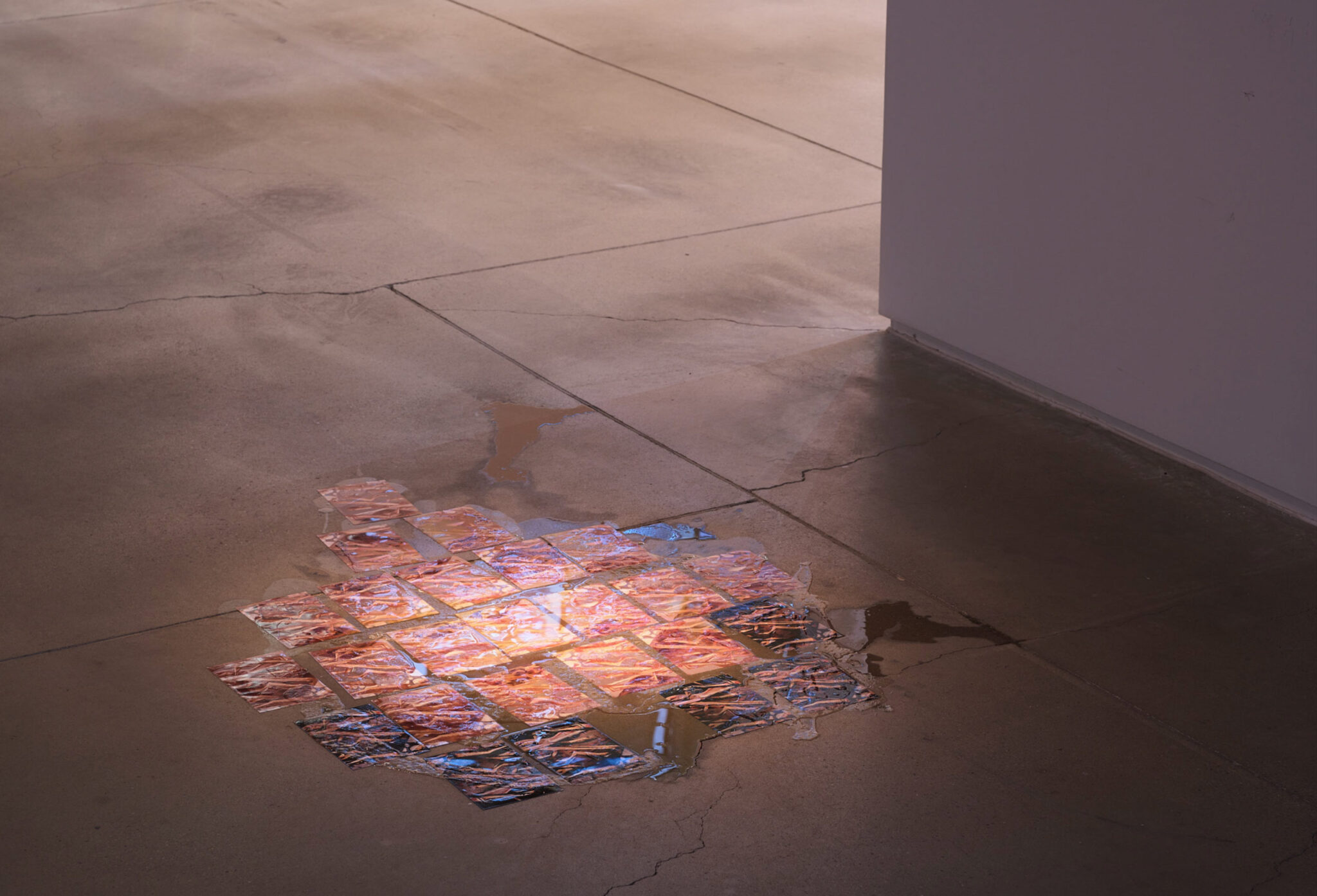 07, 원정백화점, 탈락한-피부와-온라인-체액-편지