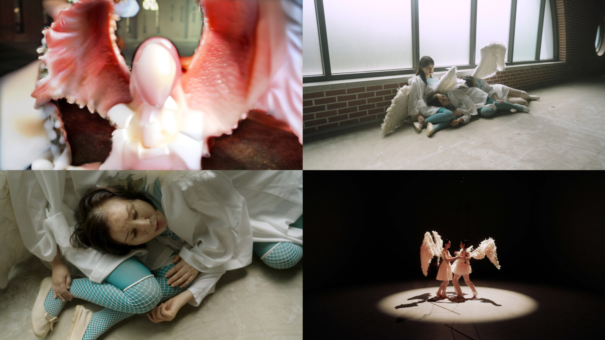 08, 원정백화점, pure-hymn