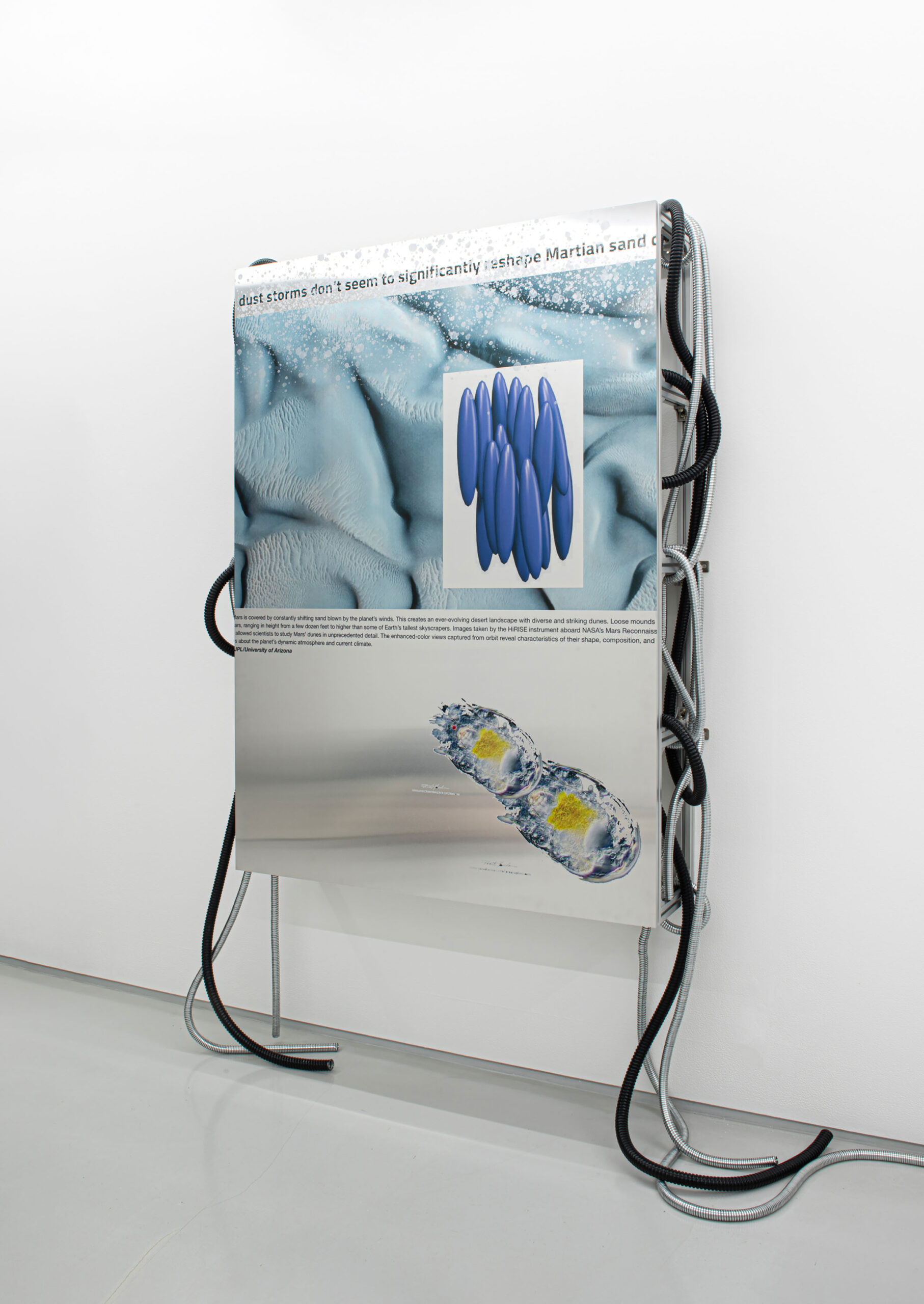 13_손경민_Kyungmin Sophia Son