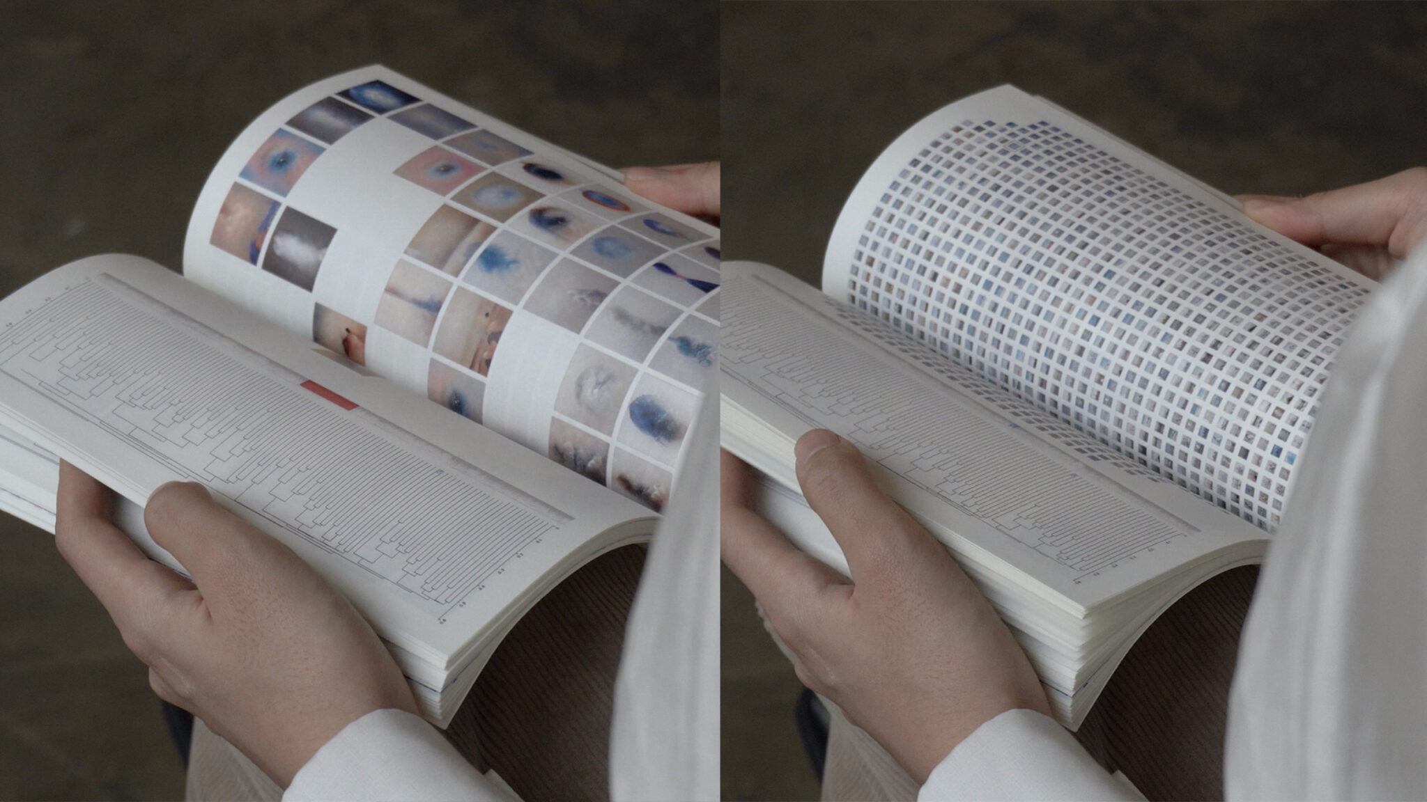 13_조현서_피그말리온 프로젝트