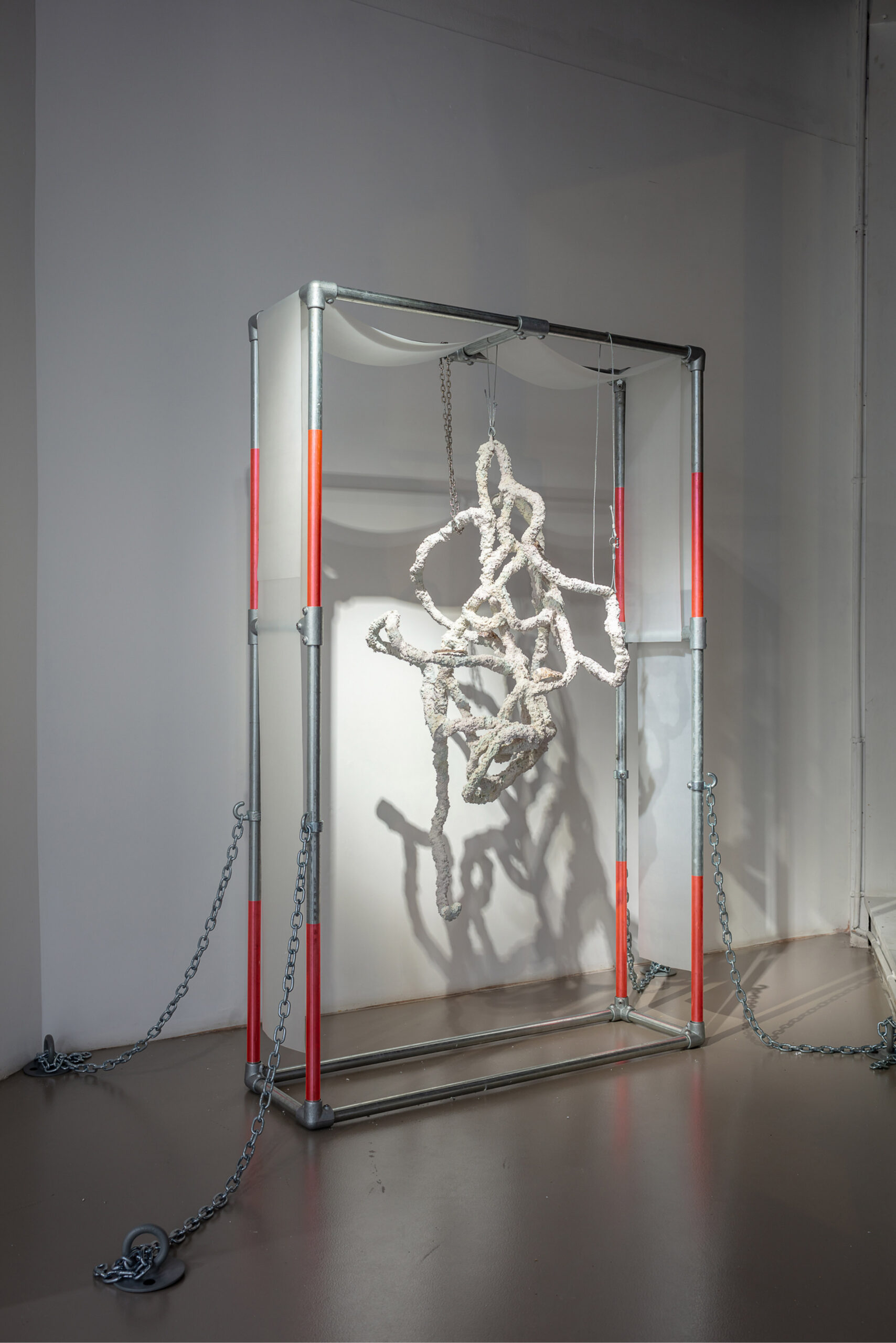 20_손경민_Kyungmin Sophia Son