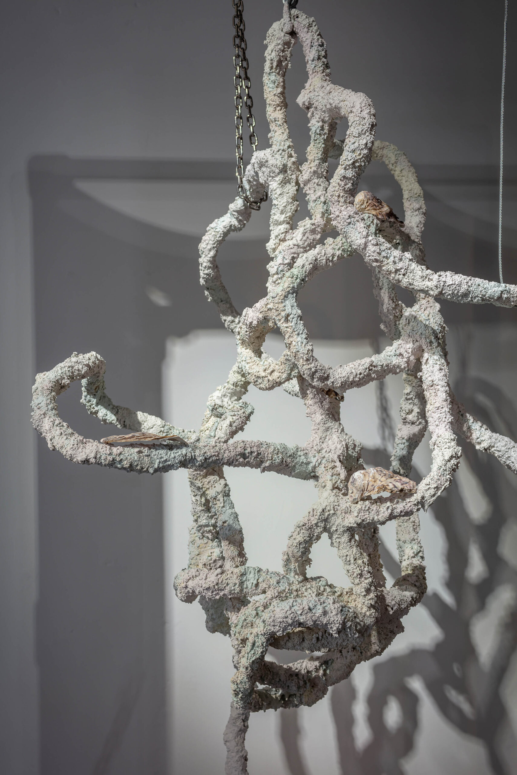 21_손경민_Kyungmin Sophia Son