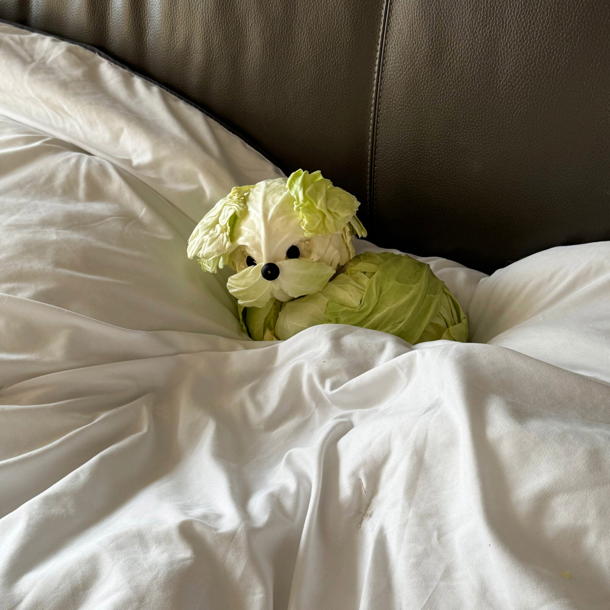 04_시바테이블_sibatable