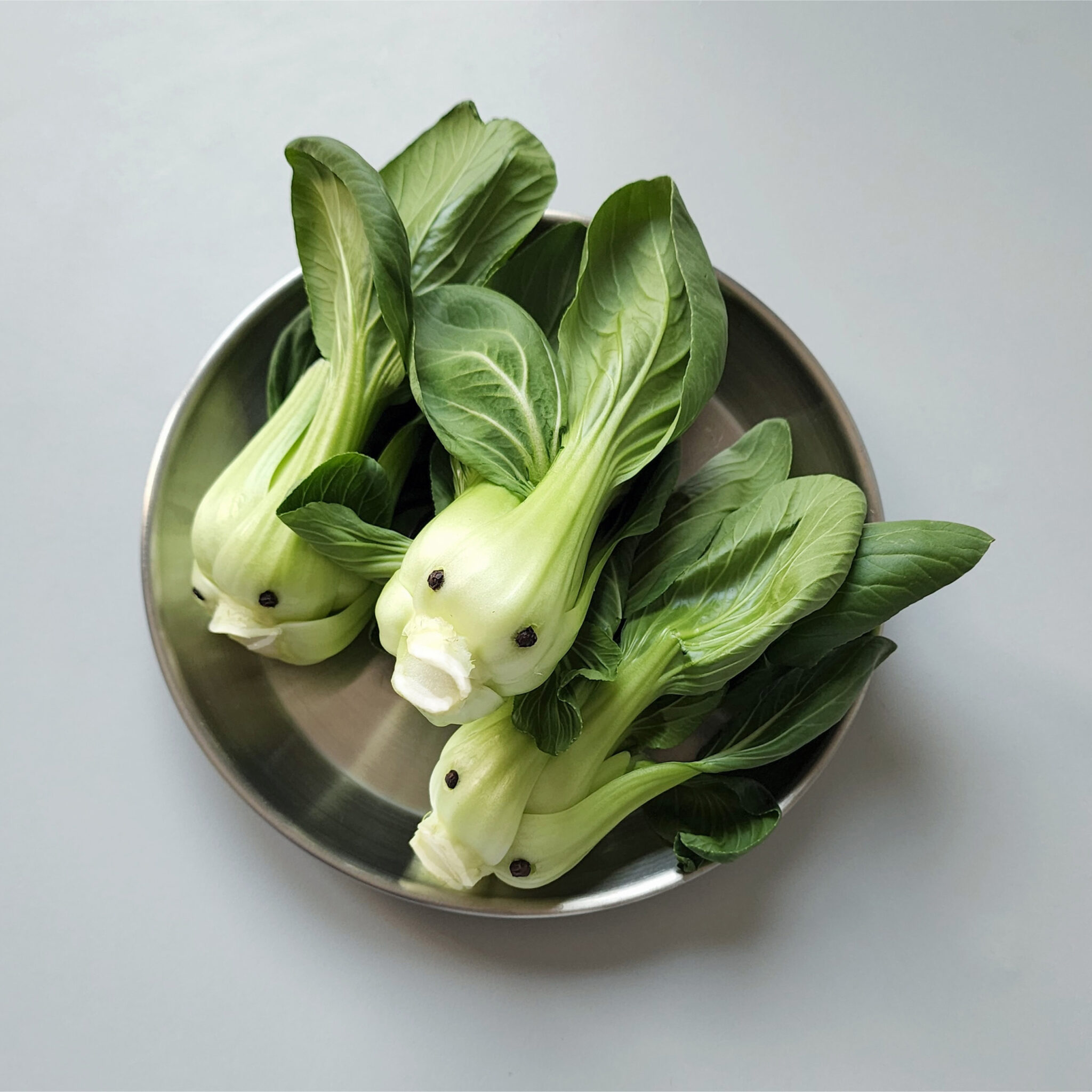 14_시바테이블_sibatable