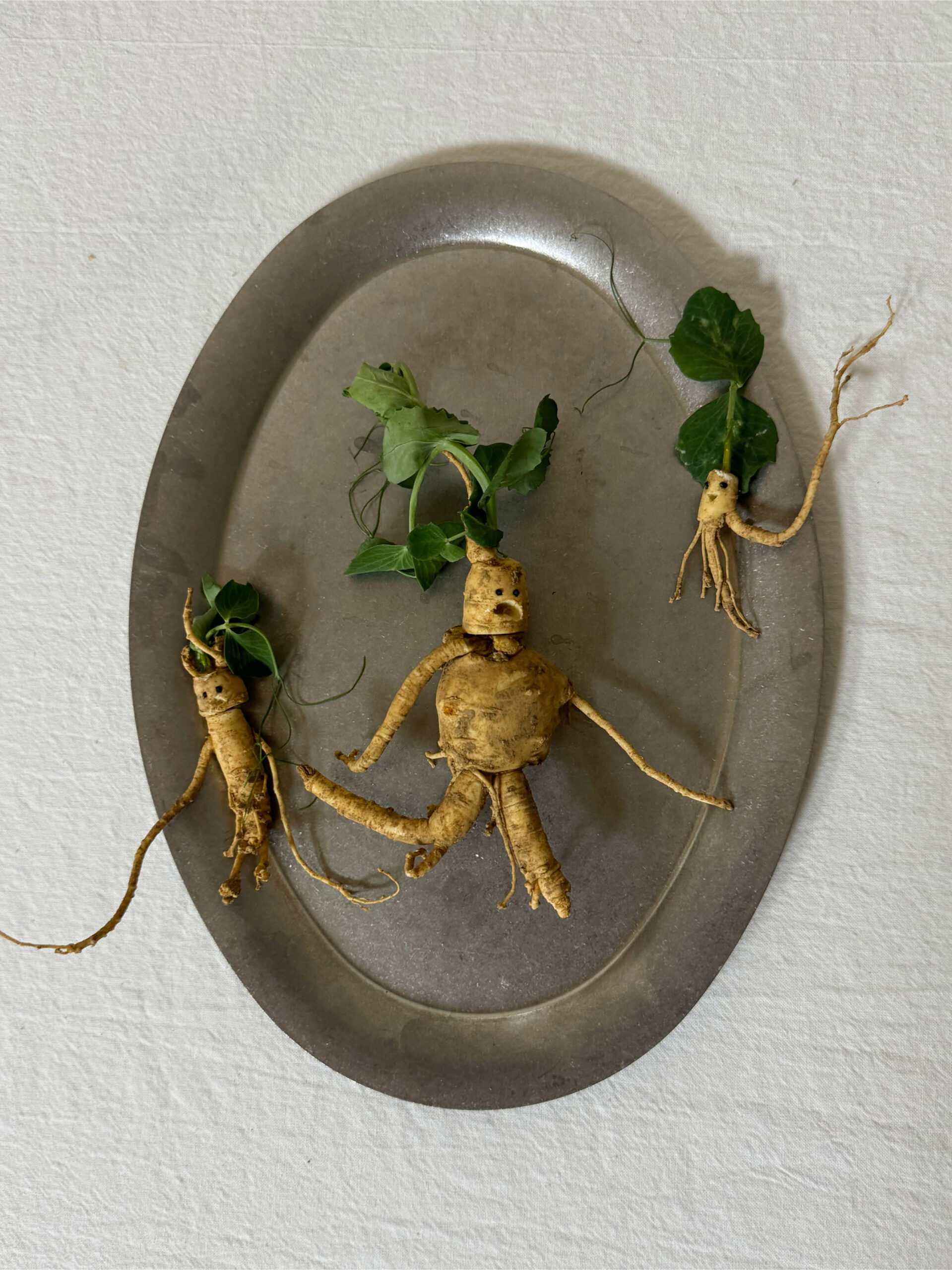 16_시바테이블_sibatable