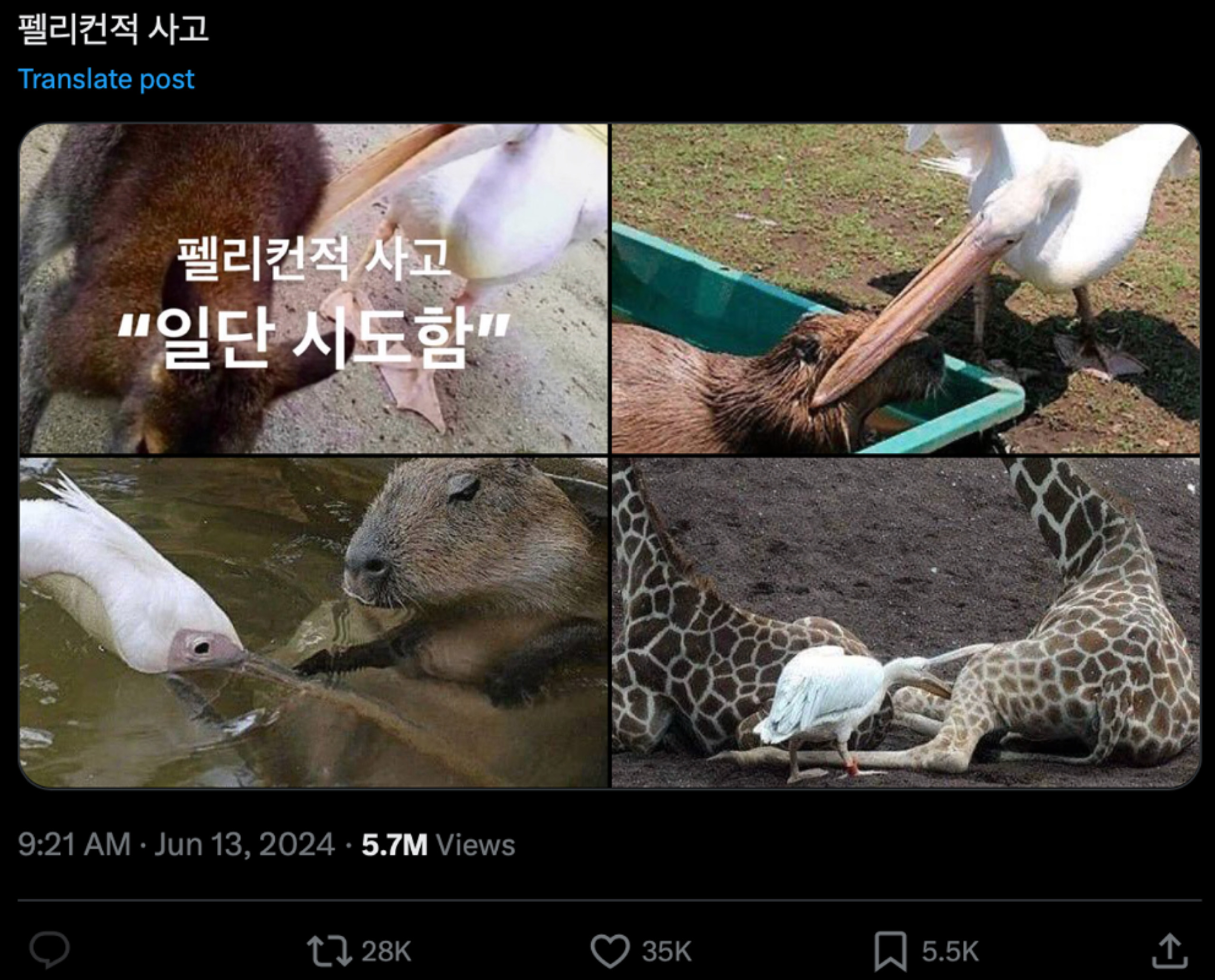 08_장원영_럭키비키