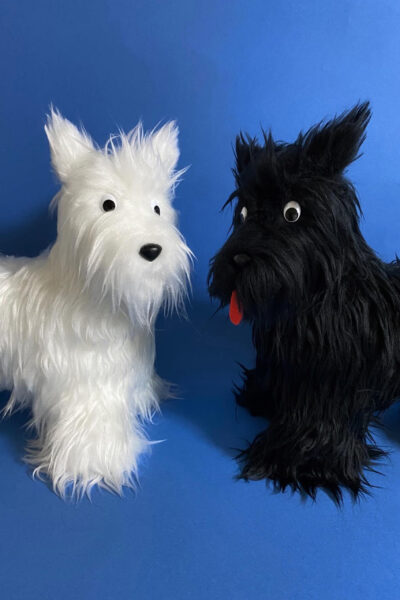 thumbnail_와니소마_wanisouma