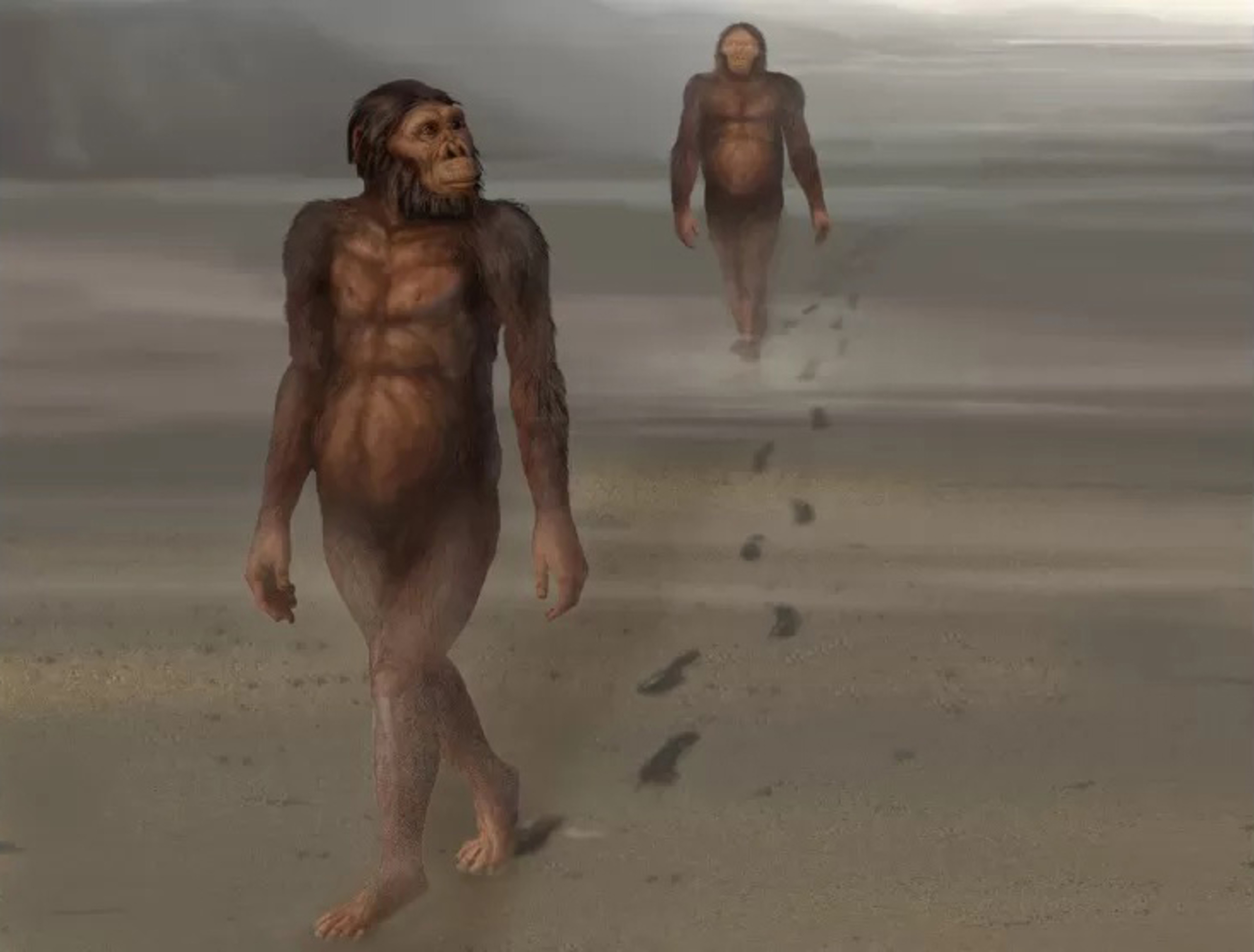 https__humanorigins.si.edu_evidence_behavior_footprints_laetolifootprinttrails