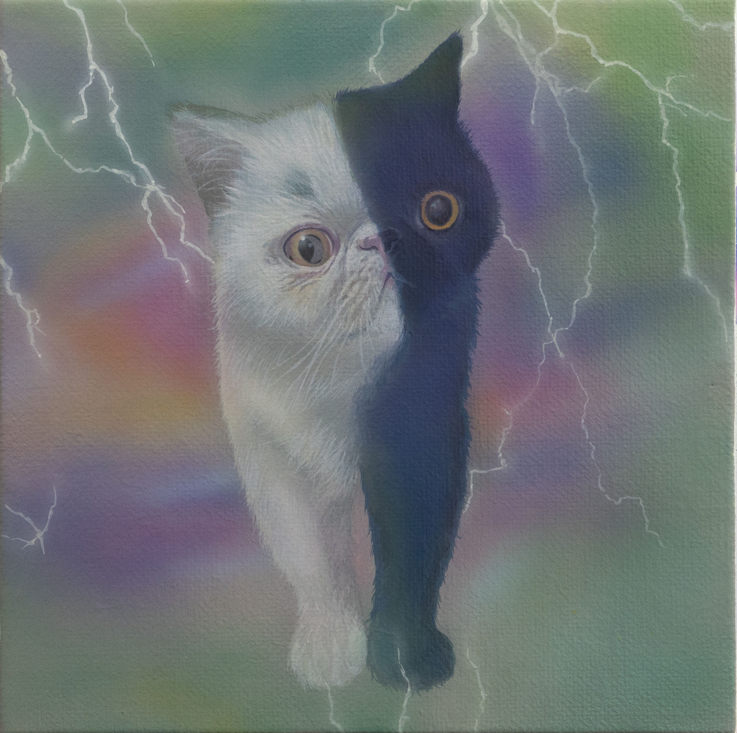 _자웅모자이크 고양이-둘_, 2024, acrylic on canvas stretched on wood panel, 30x30cm