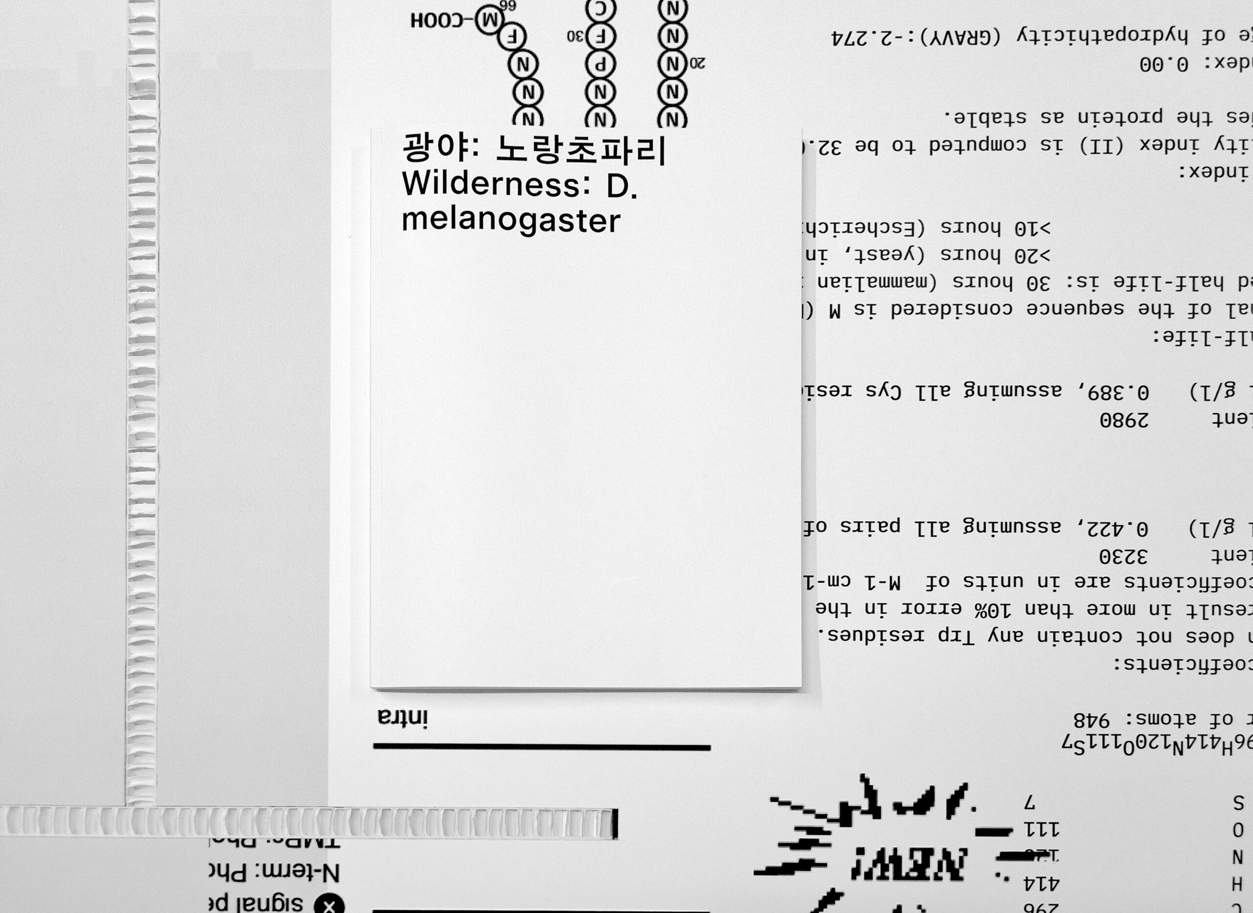 ‹광야; 노랑초파리›, 2024, 책, 221×285mm