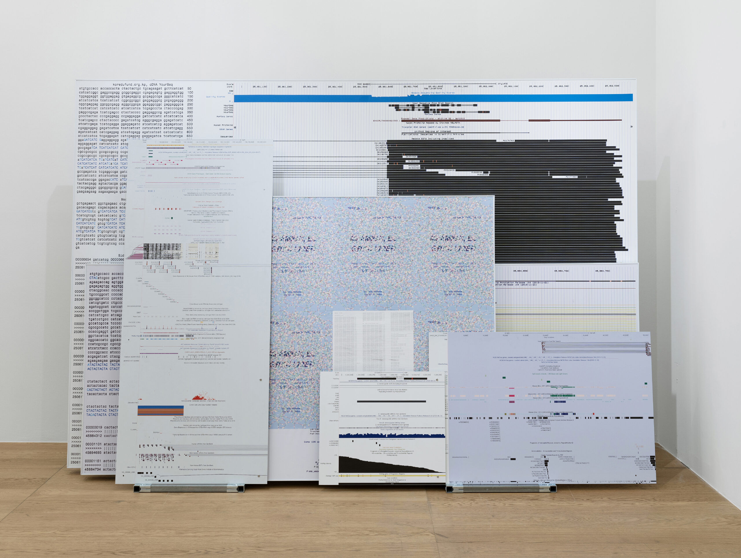 ‹소프트웨어 빼돌리기(미래를 위하여; 송사리, 로동신문; 인간, 벗; 고양이, 남산; 노랑초파리)›, 2024, 알루미늄에 UV인쇄, 종이에 인쇄, 가변크기