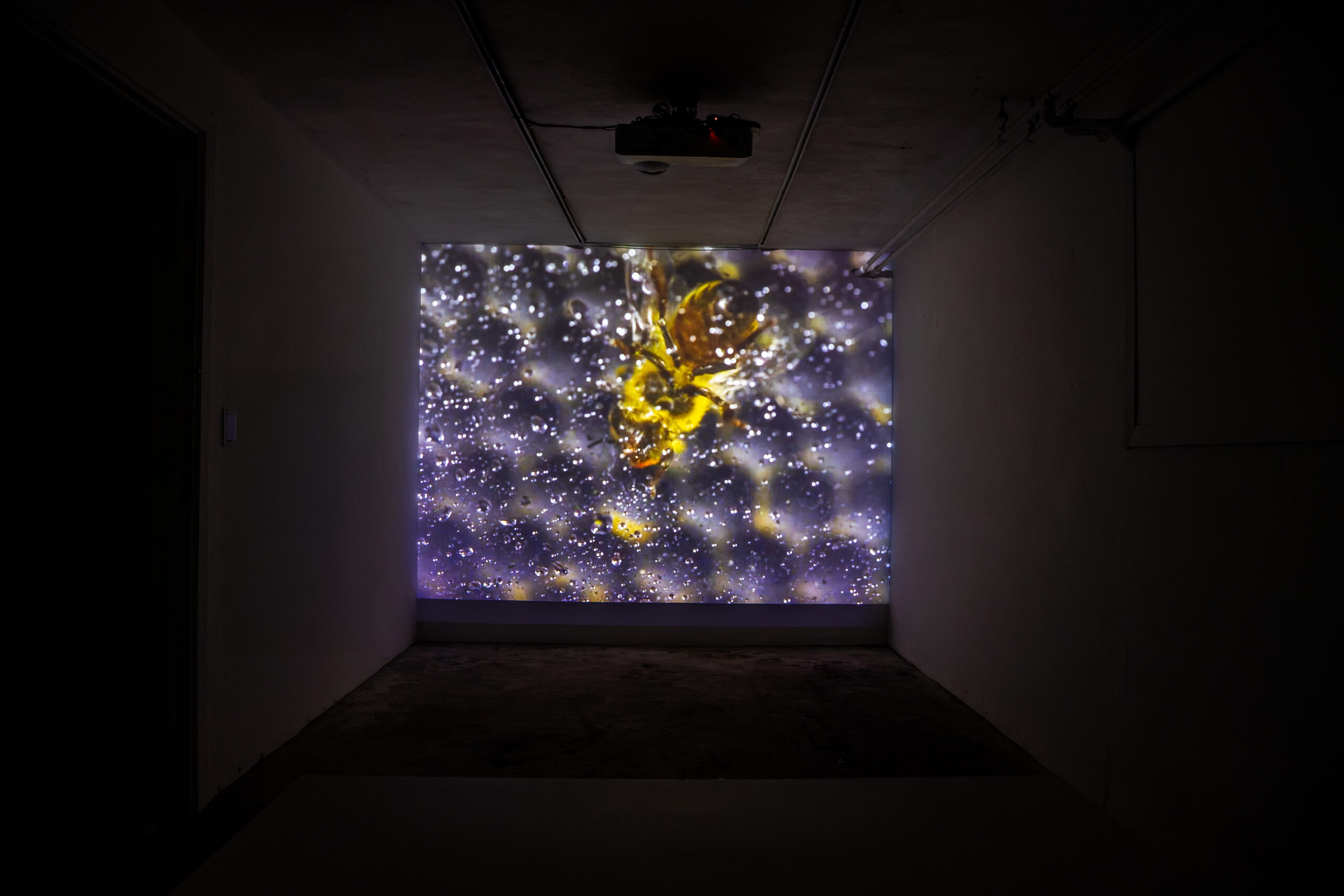 [vp]손수민_19