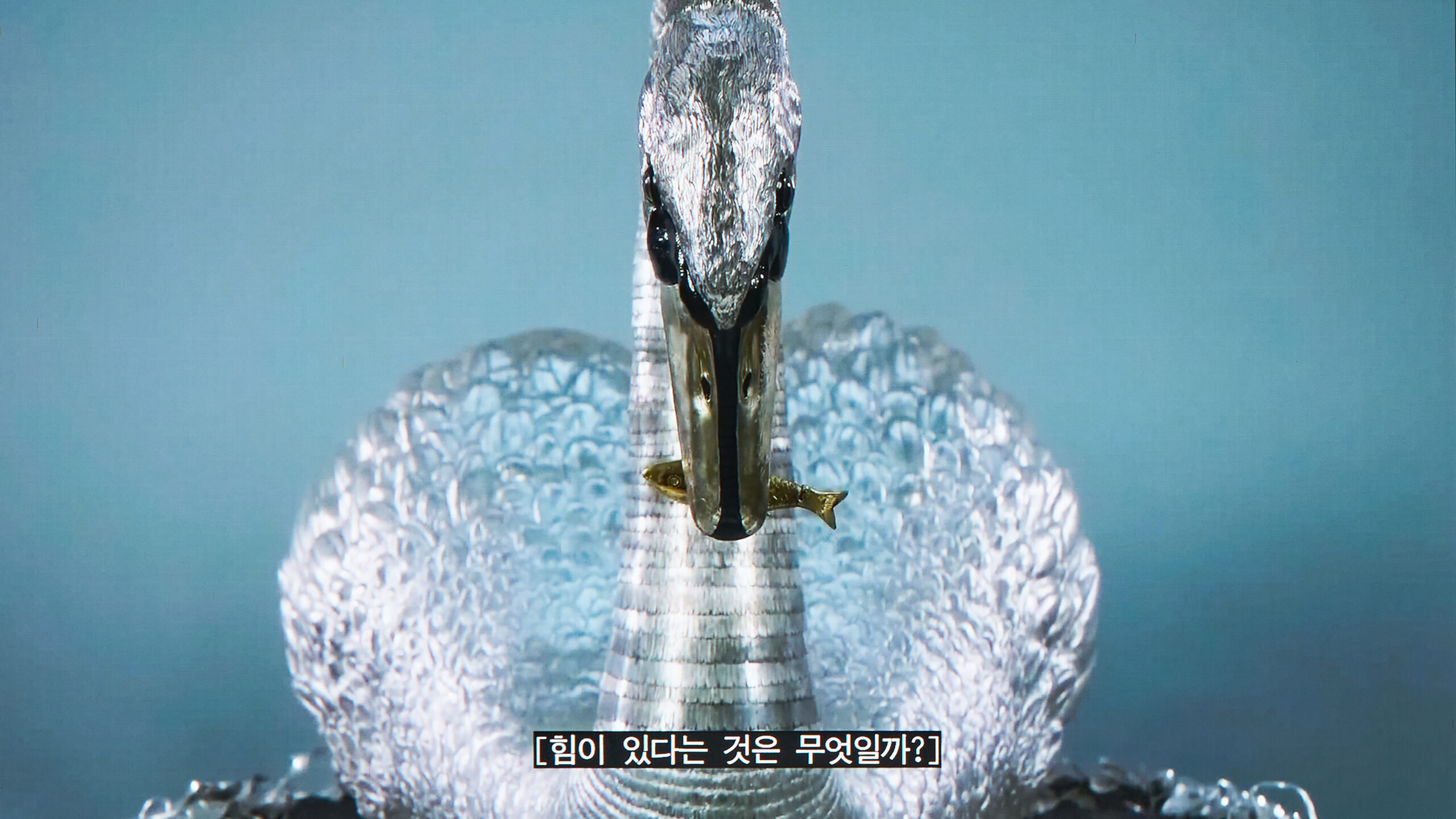 [vp]손수민_5