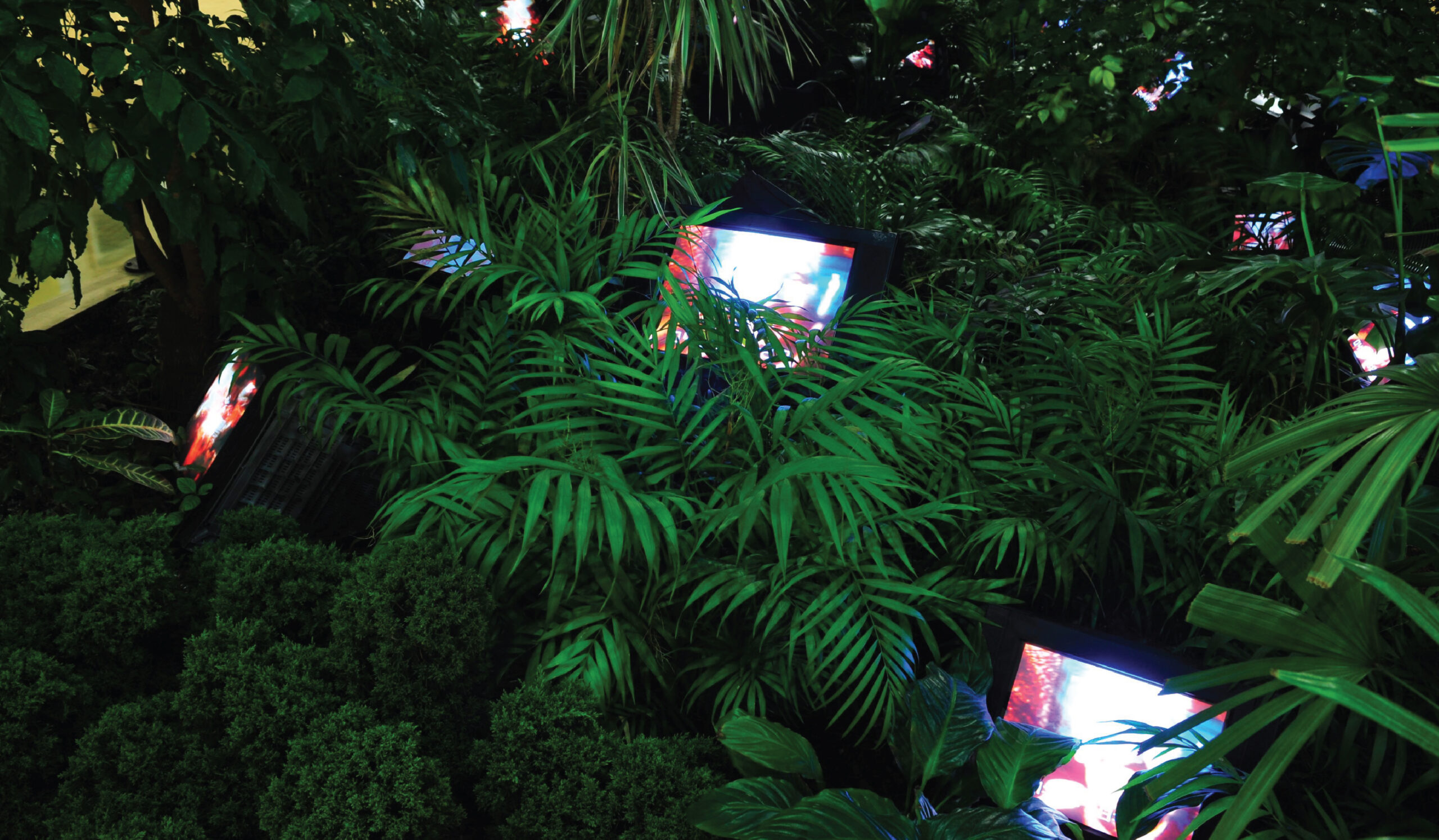 [리뷰]전지적 백남준_1