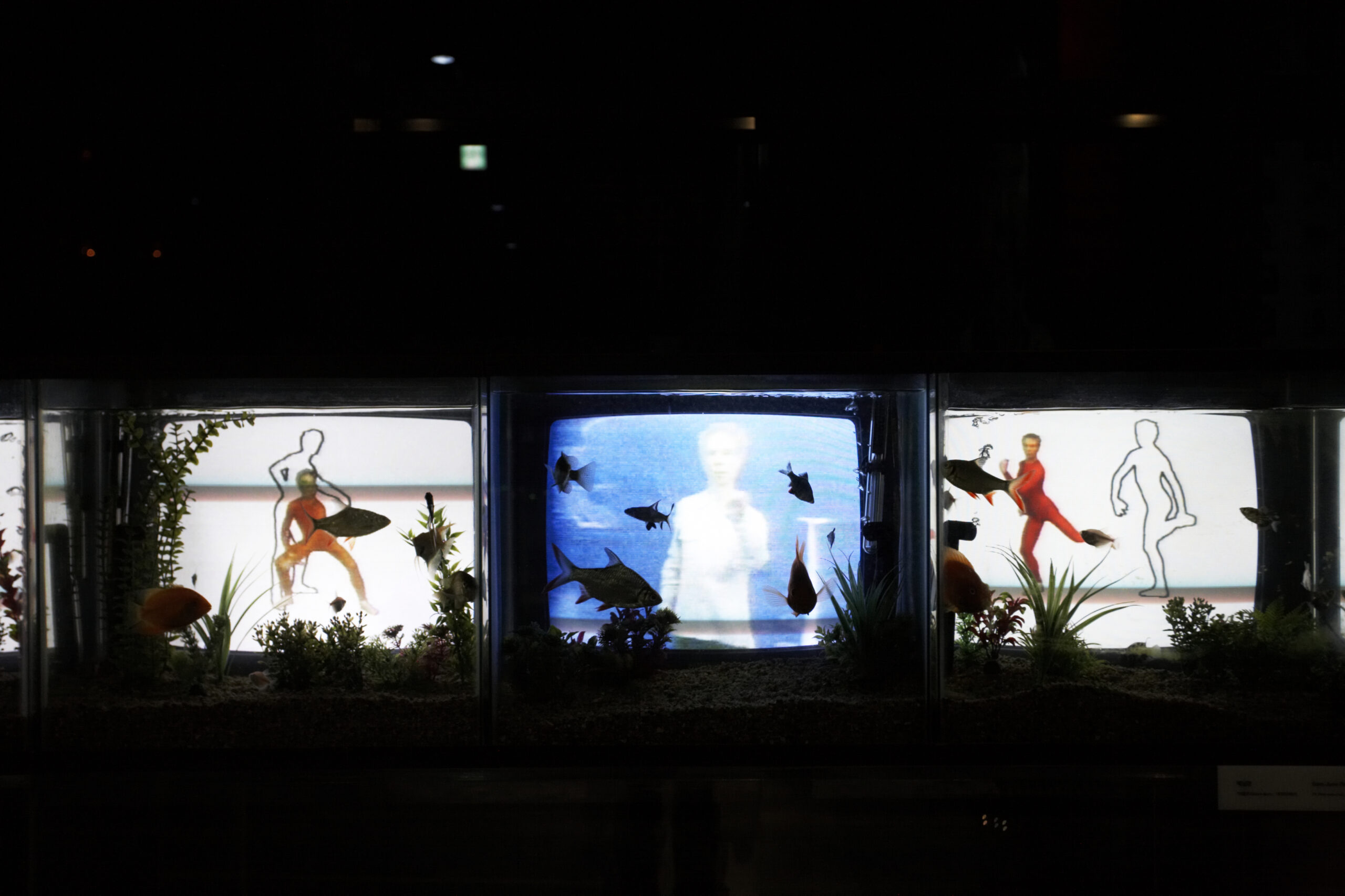 [리뷰]전지적 백남준_20