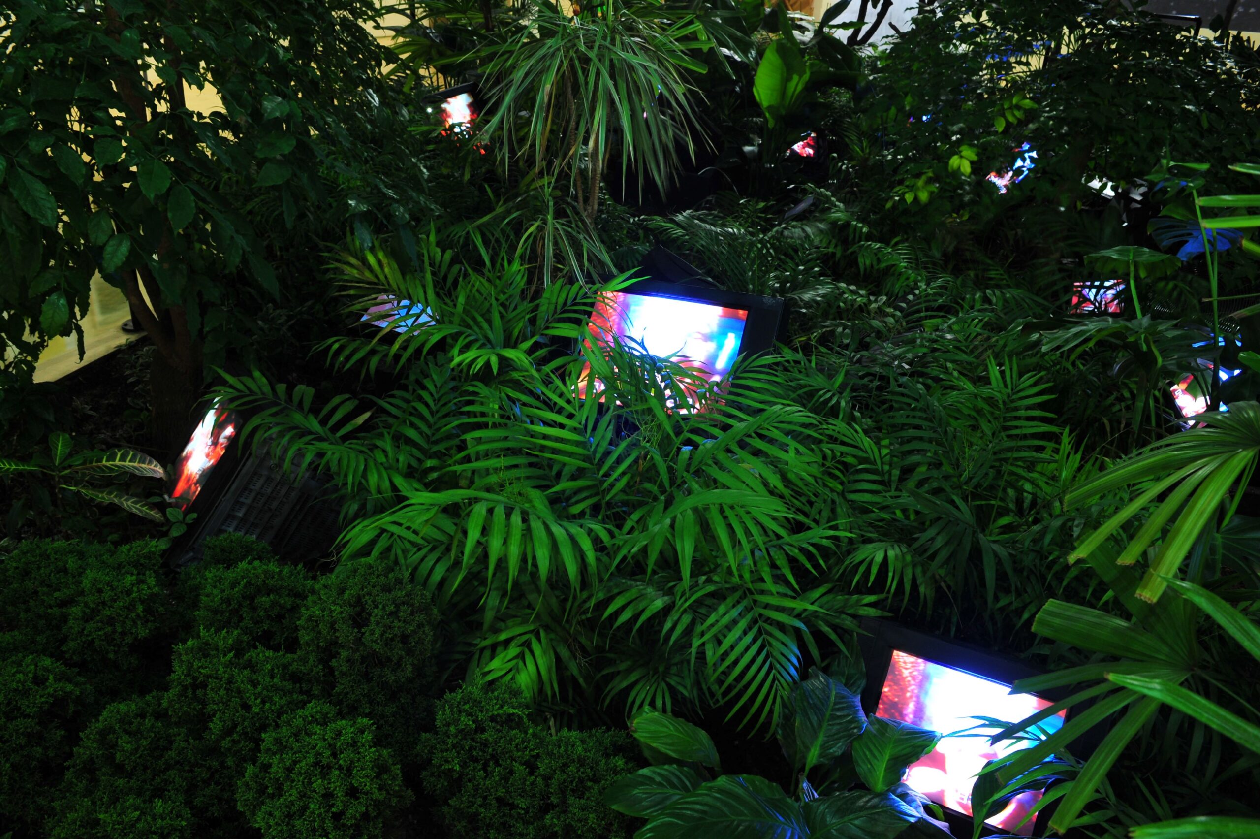 [리뷰]전지적 백남준_8