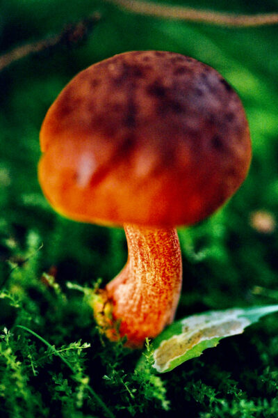 [BA]이윤호_섬네일