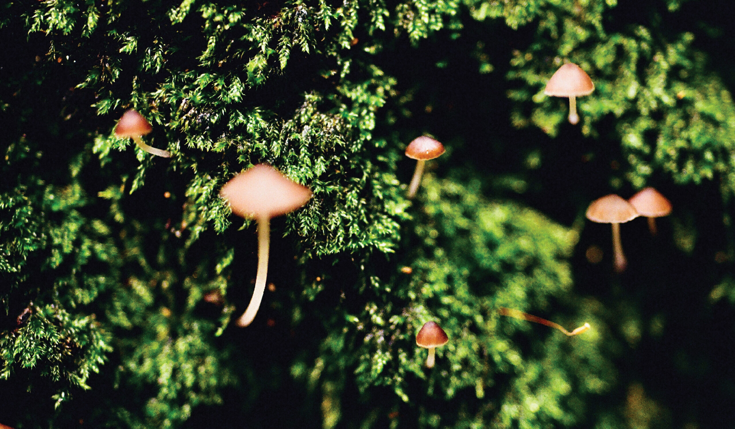 [VP]이윤호_1_오프닝