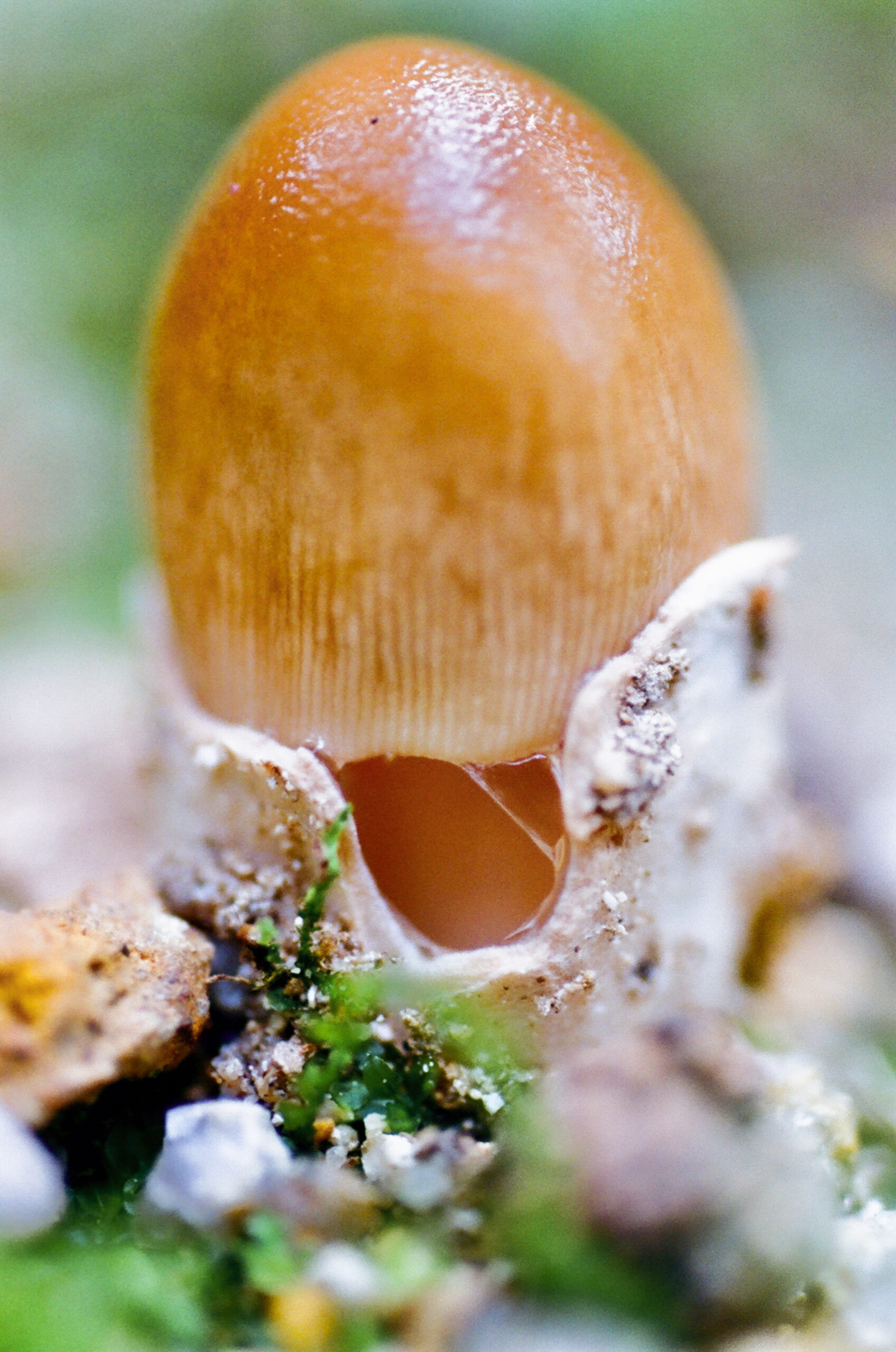 [VP]이윤호_2