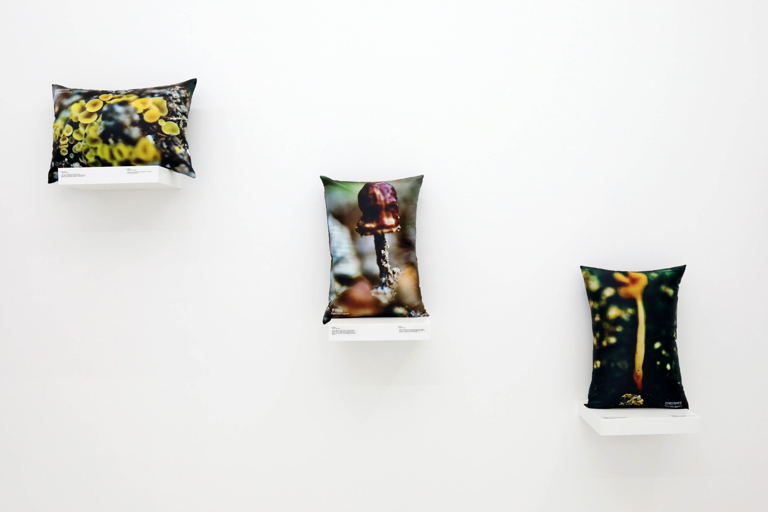 [VP]이윤호_22