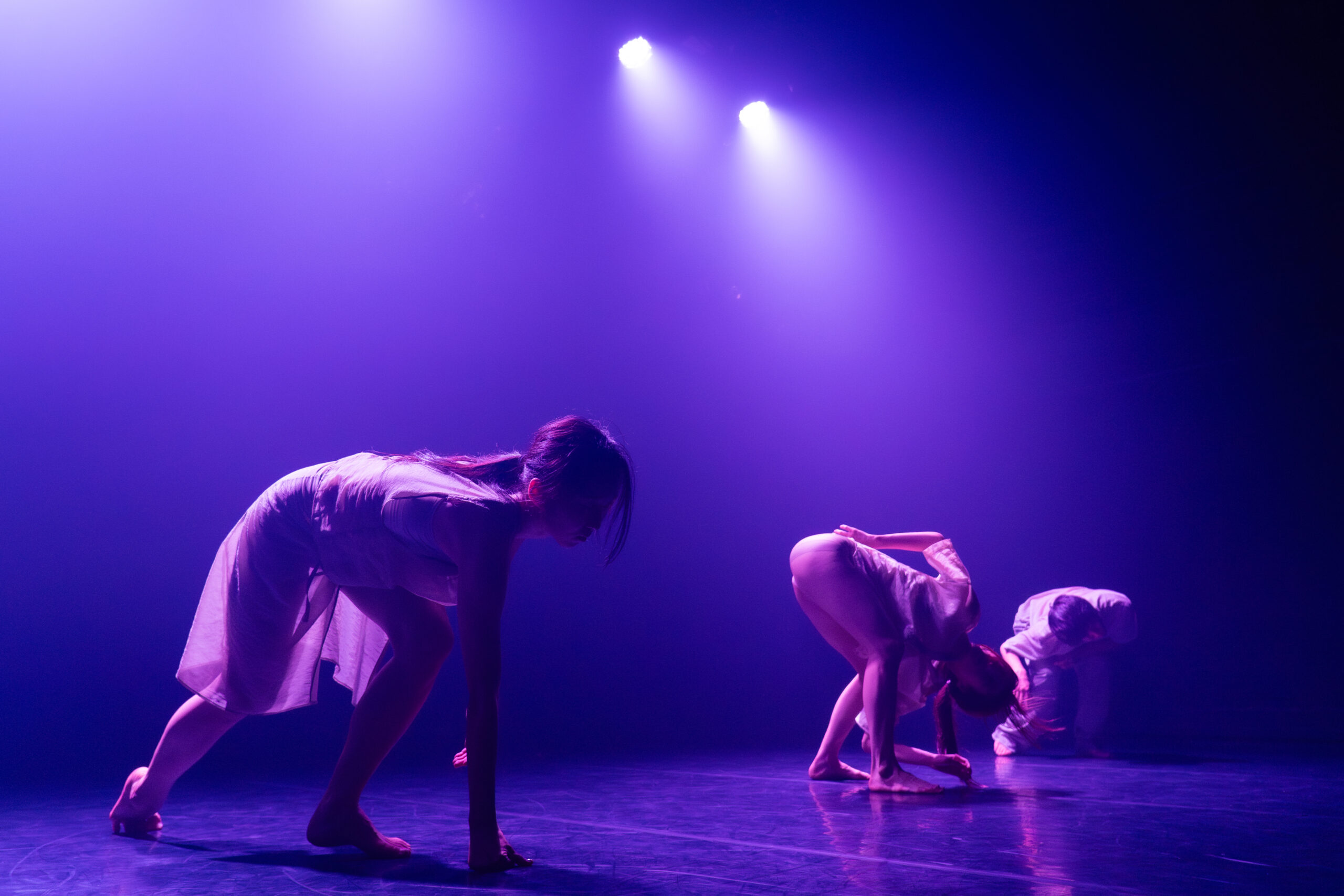 [도도무브]_이미지_15