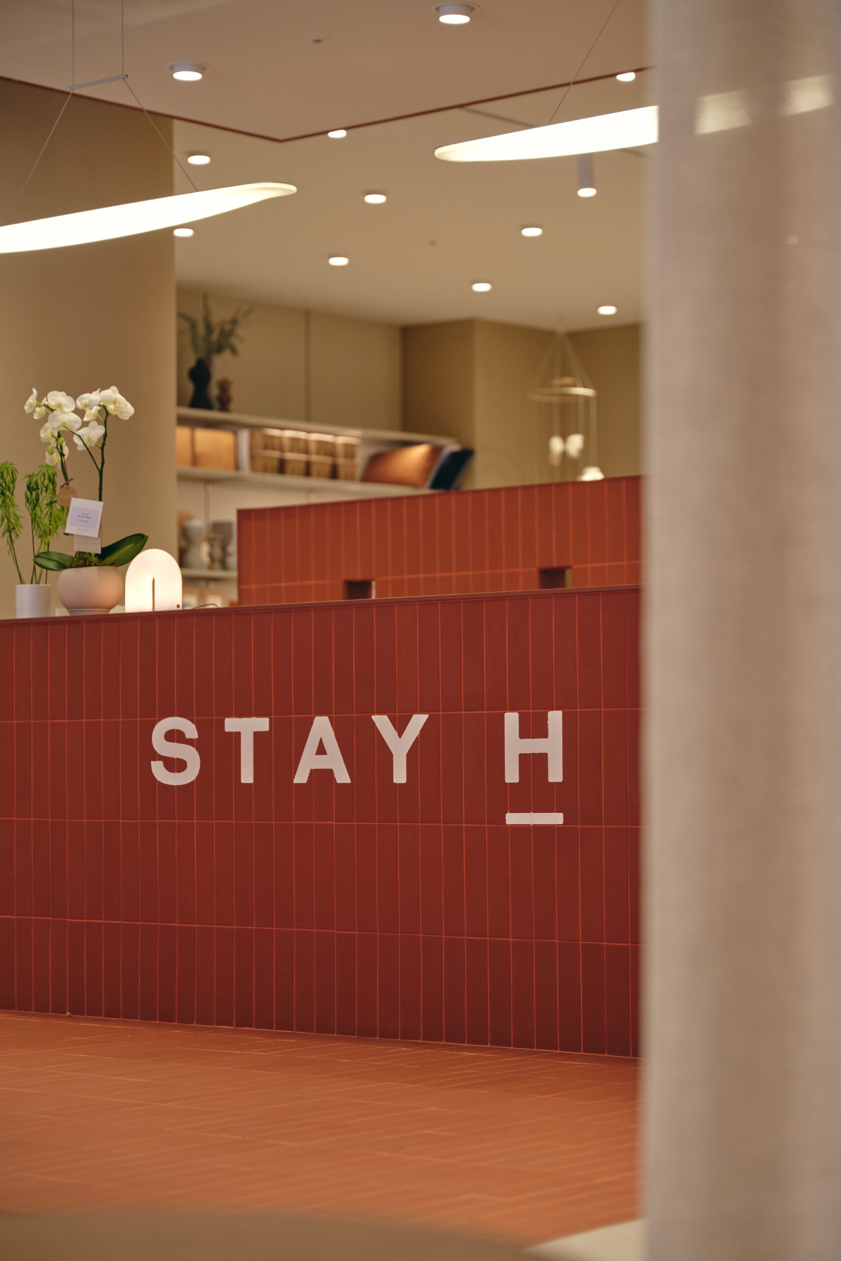 [리뷰]스테이H